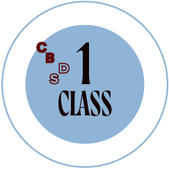 GROUP CLASS - single class pass