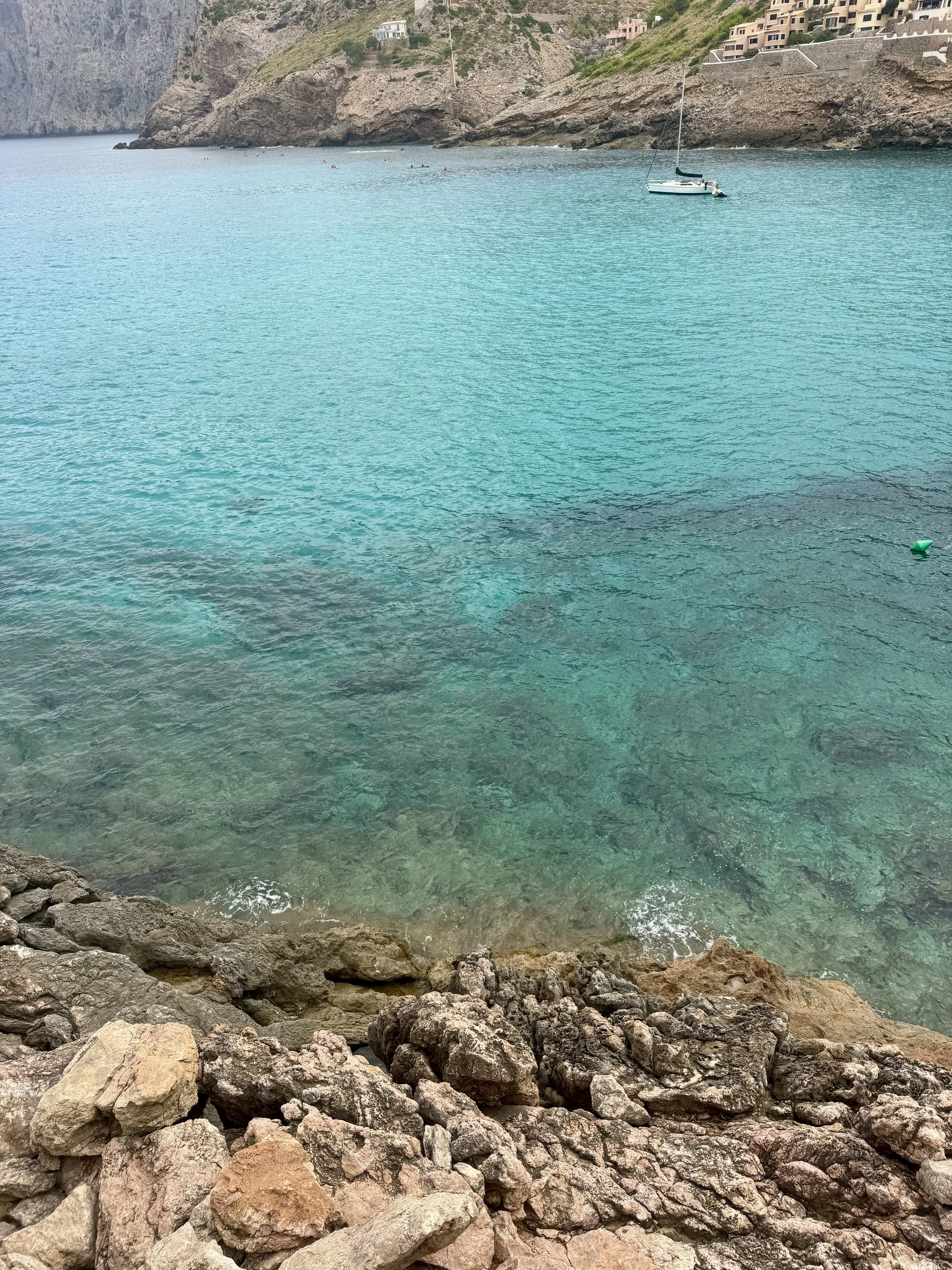 IMG_1786.jpg