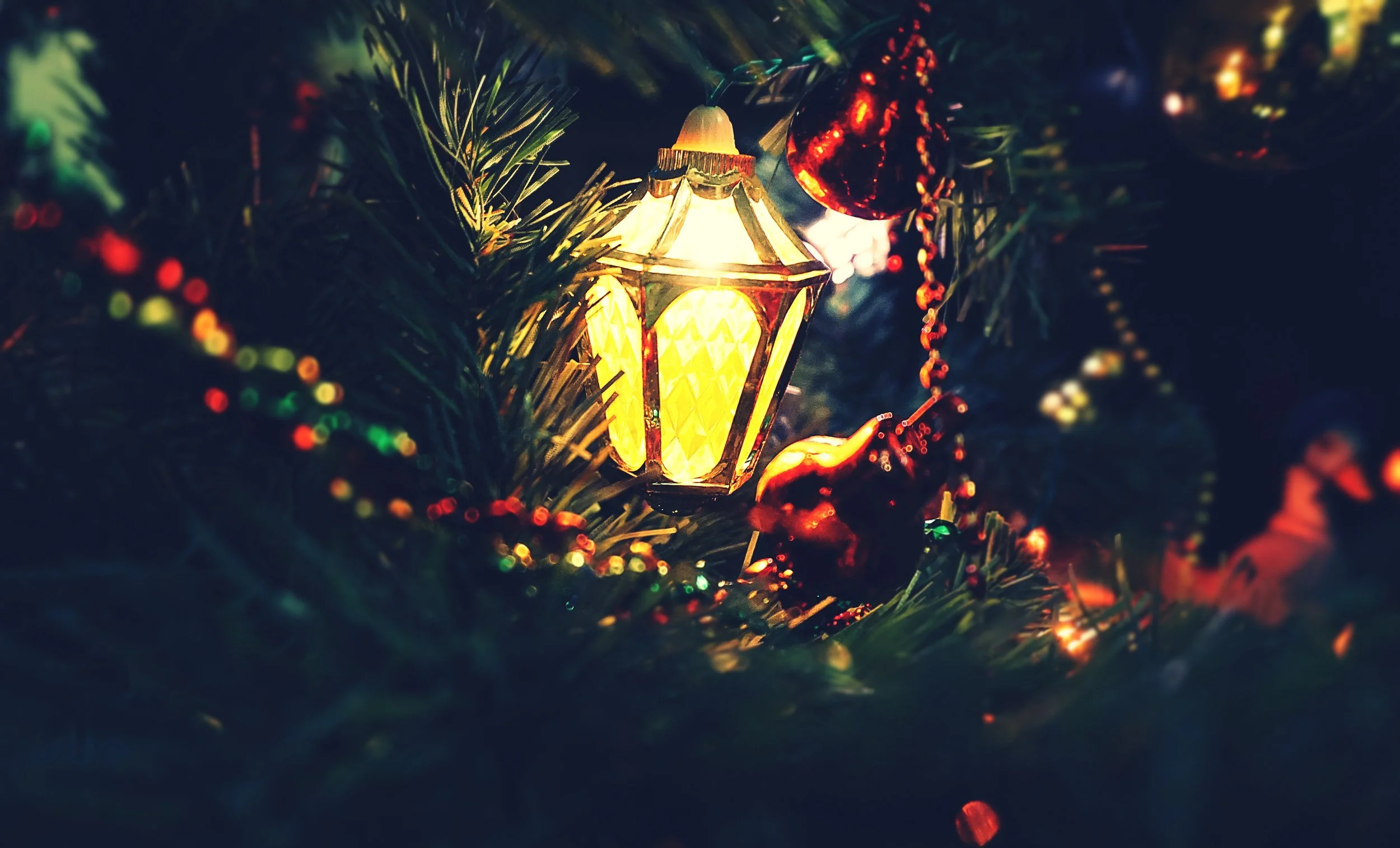 Christmas: A Light in the Darkness