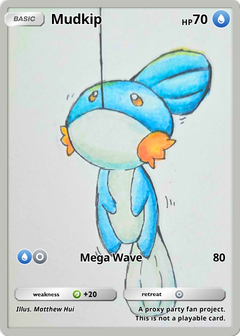 Mudkip - Matt