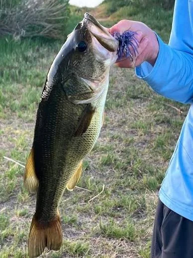 Angler holding a large fish caught with a fishing lure.