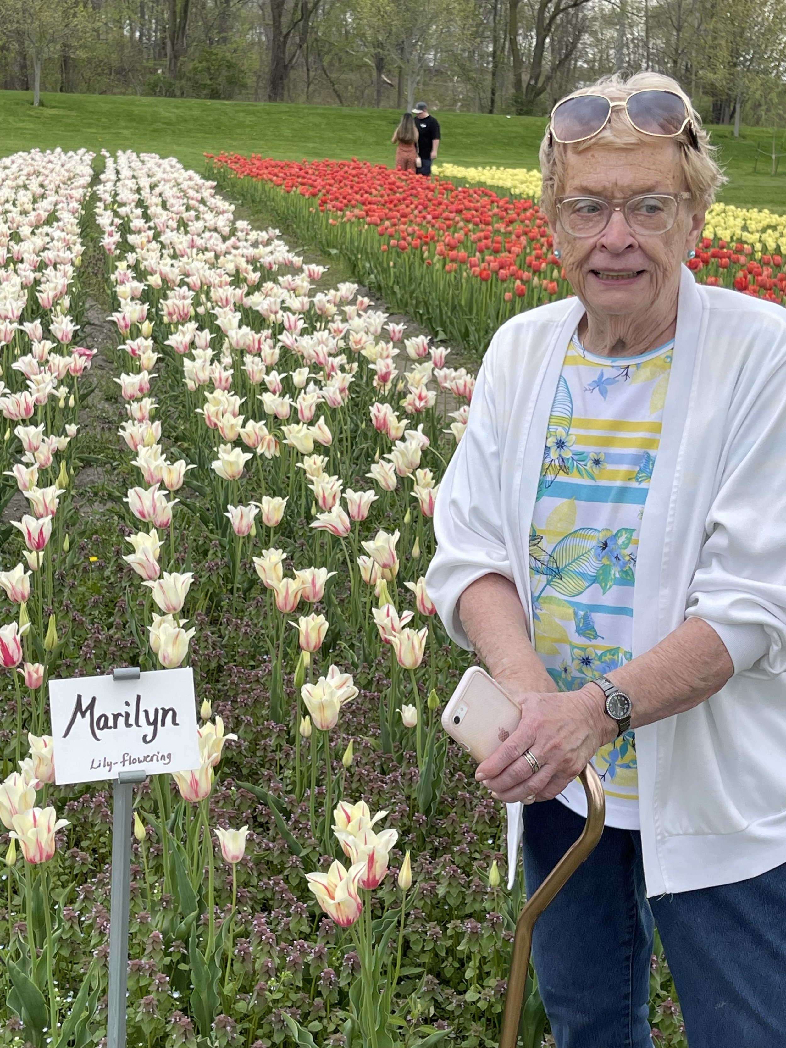 An elderly woman with short gray hair, glasses, and sunglasses on her head, holding a cane and a phone, smiling in front of a flower bed with rows of pink, red, and yellow tulips. There's a sign with the name "Marilyn" and a note about lily-flowering tulips. Two people are visible in the background walking through a park with green grass and trees.