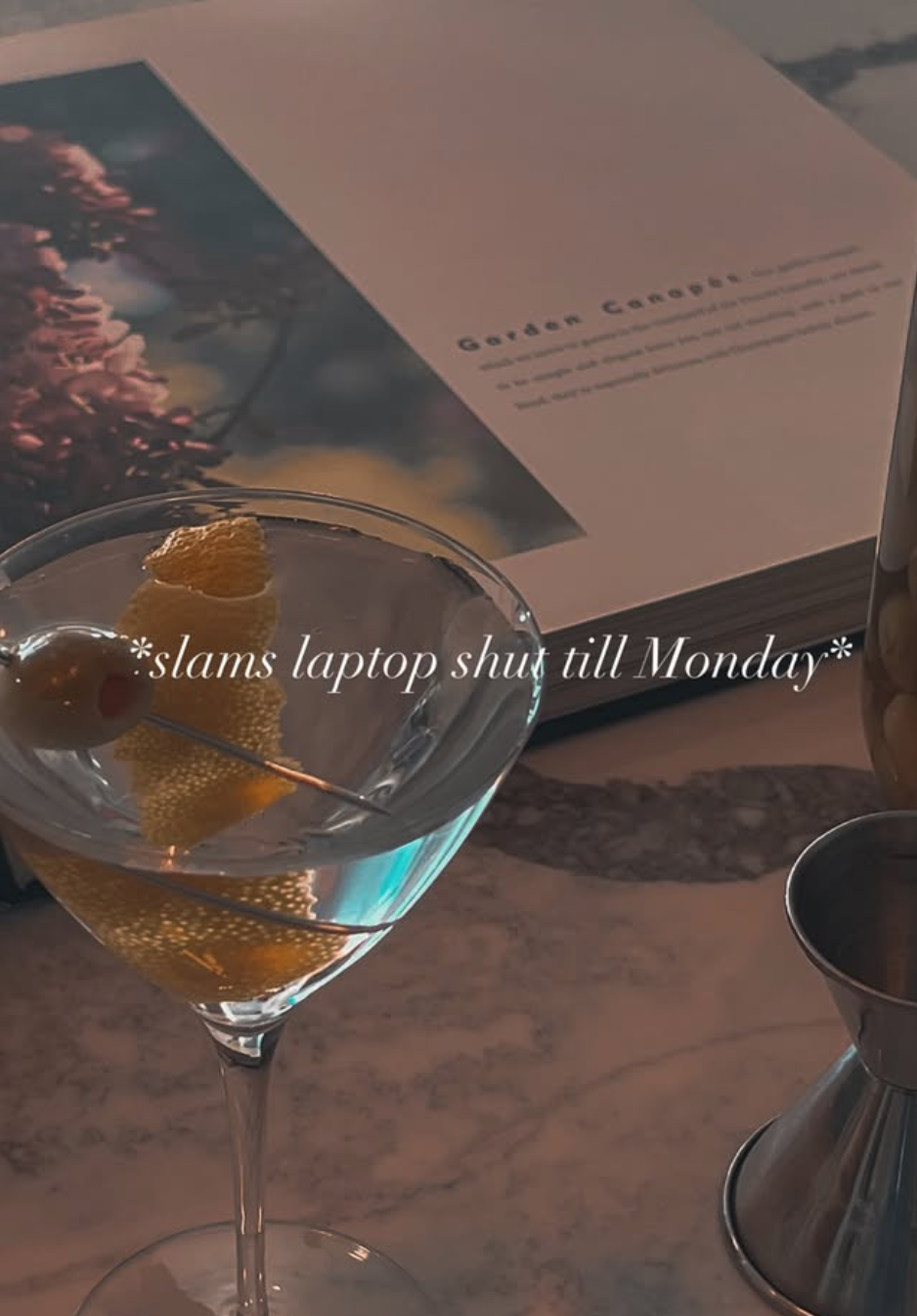 A martini glass with an olive and lemon peel garnish on a bar or table. A booklet titled 'Garden Campaign' and a cocktail shaker are visible in the background. The overlay text reads '*slams laptop shut till Monday*'.