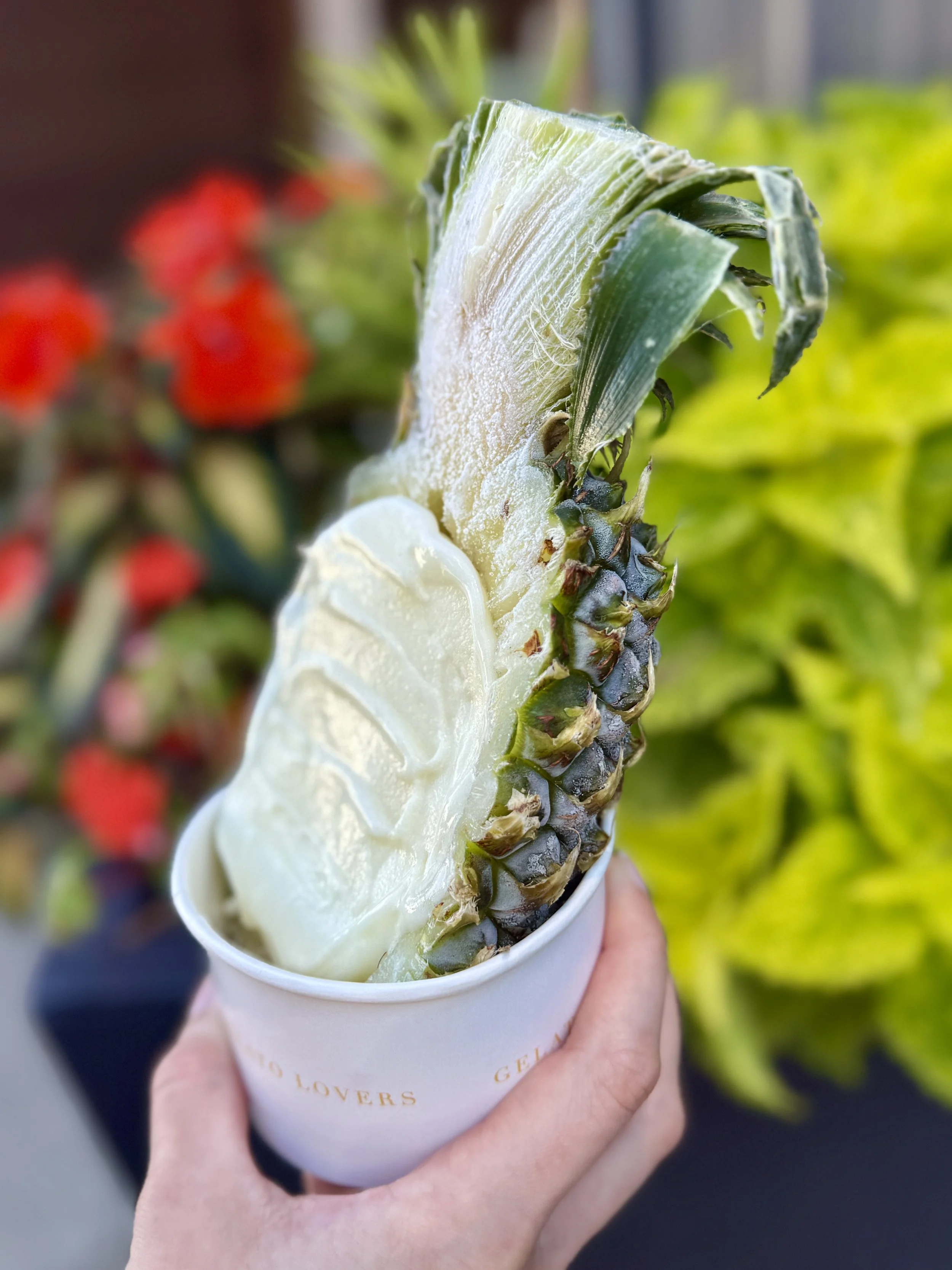 Person holding a cup filled with sliced pineapple and pineapple sorbet, with a blurred background of red and green foliage.