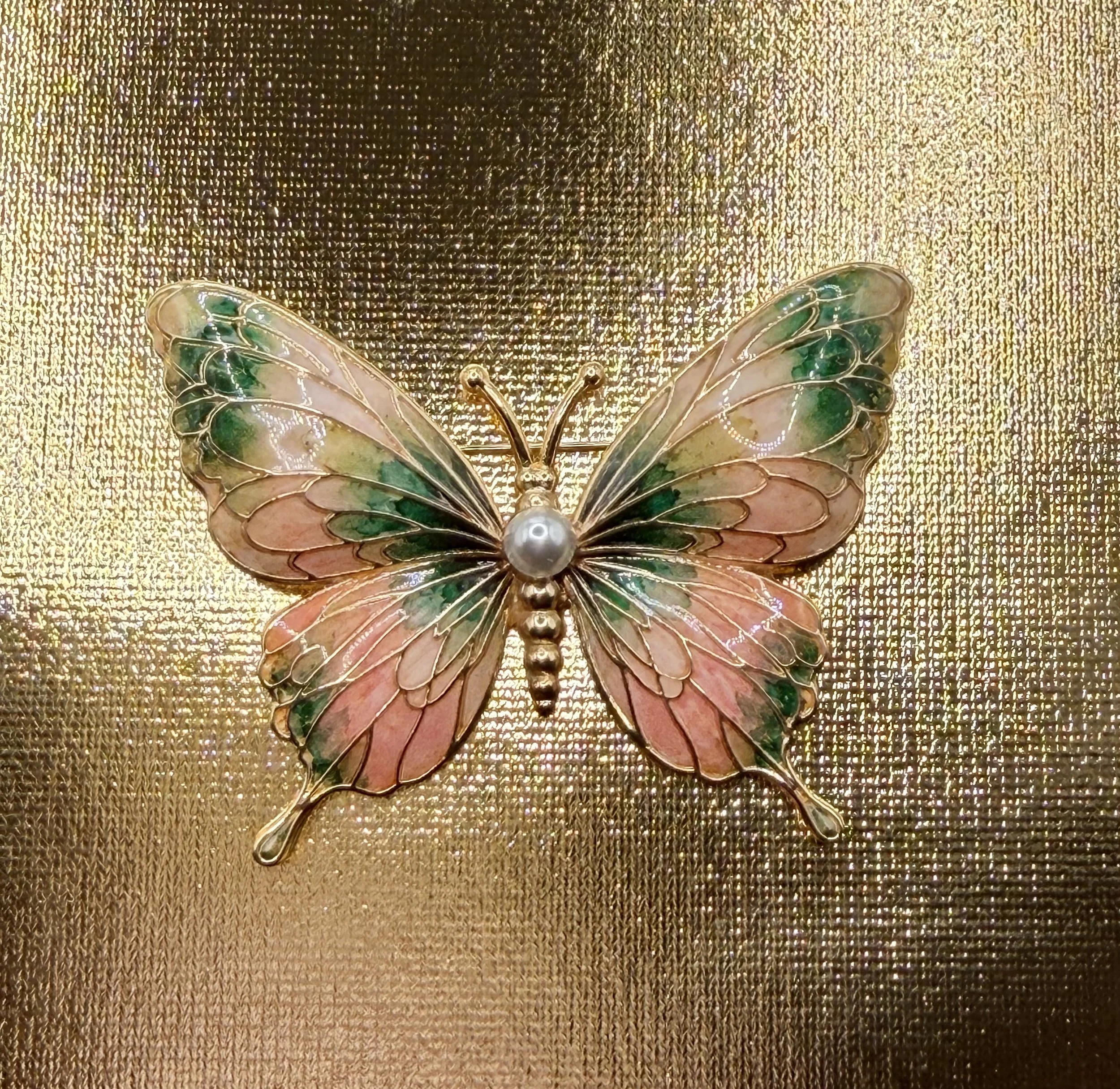 Becoming Renewed Butterfly