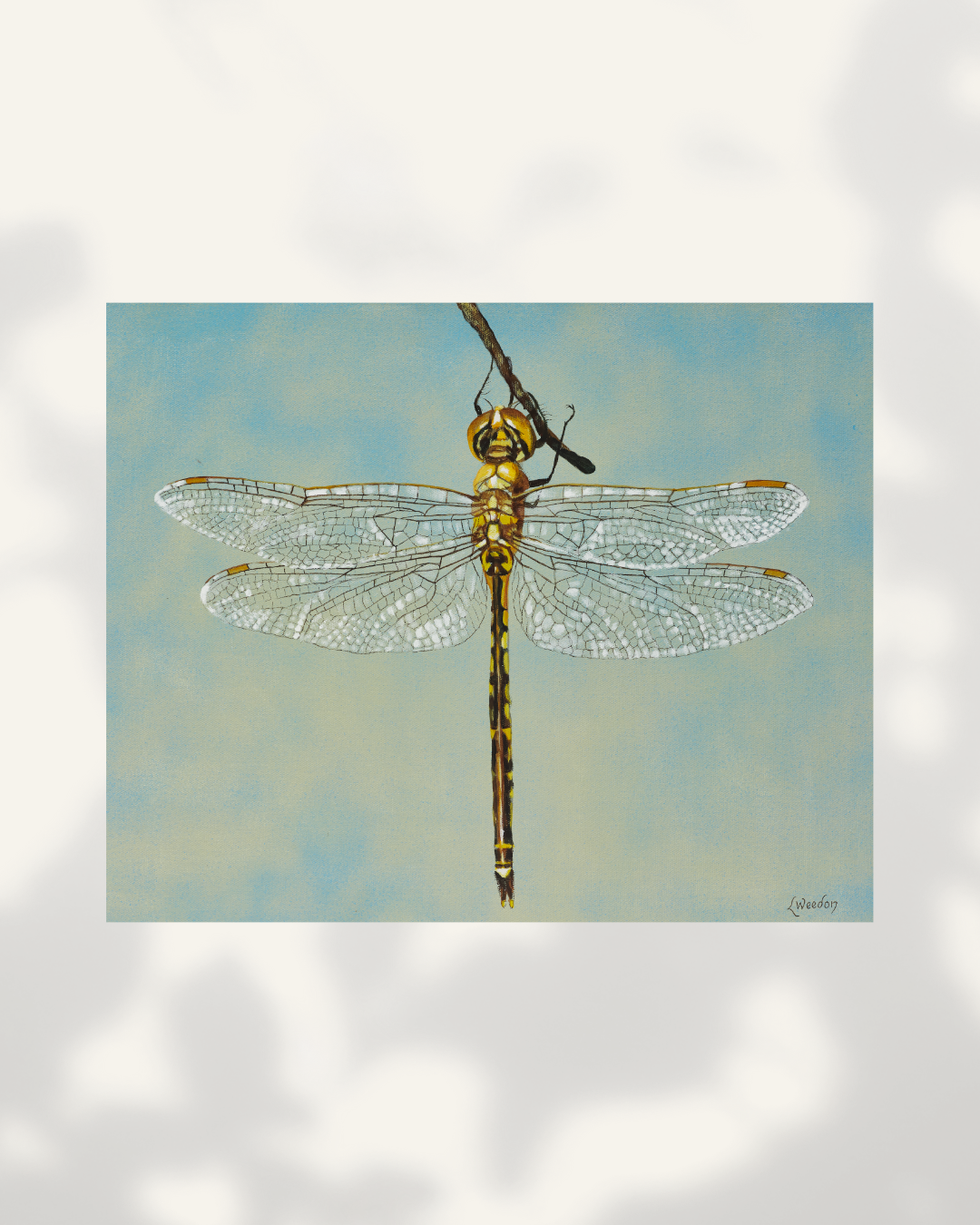 Golden Dragonfly - Original Artwork