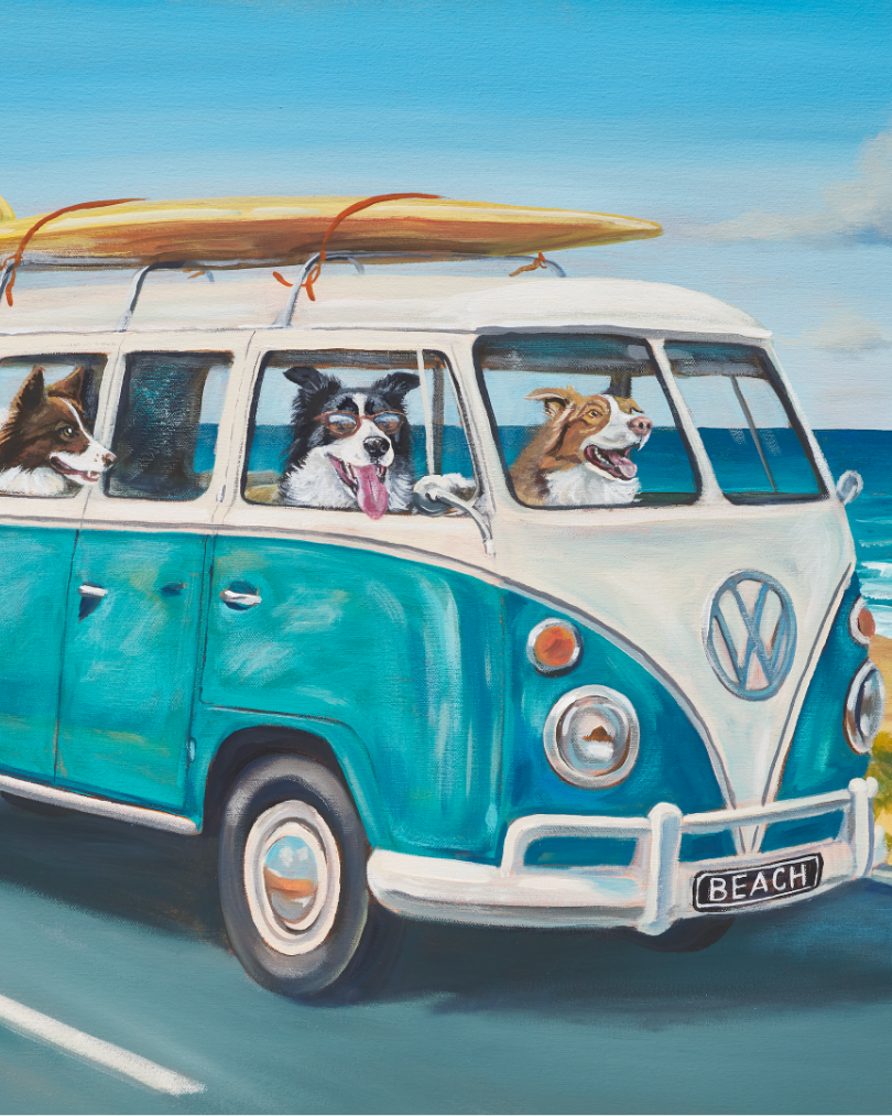 Collies in Kombi (2).png