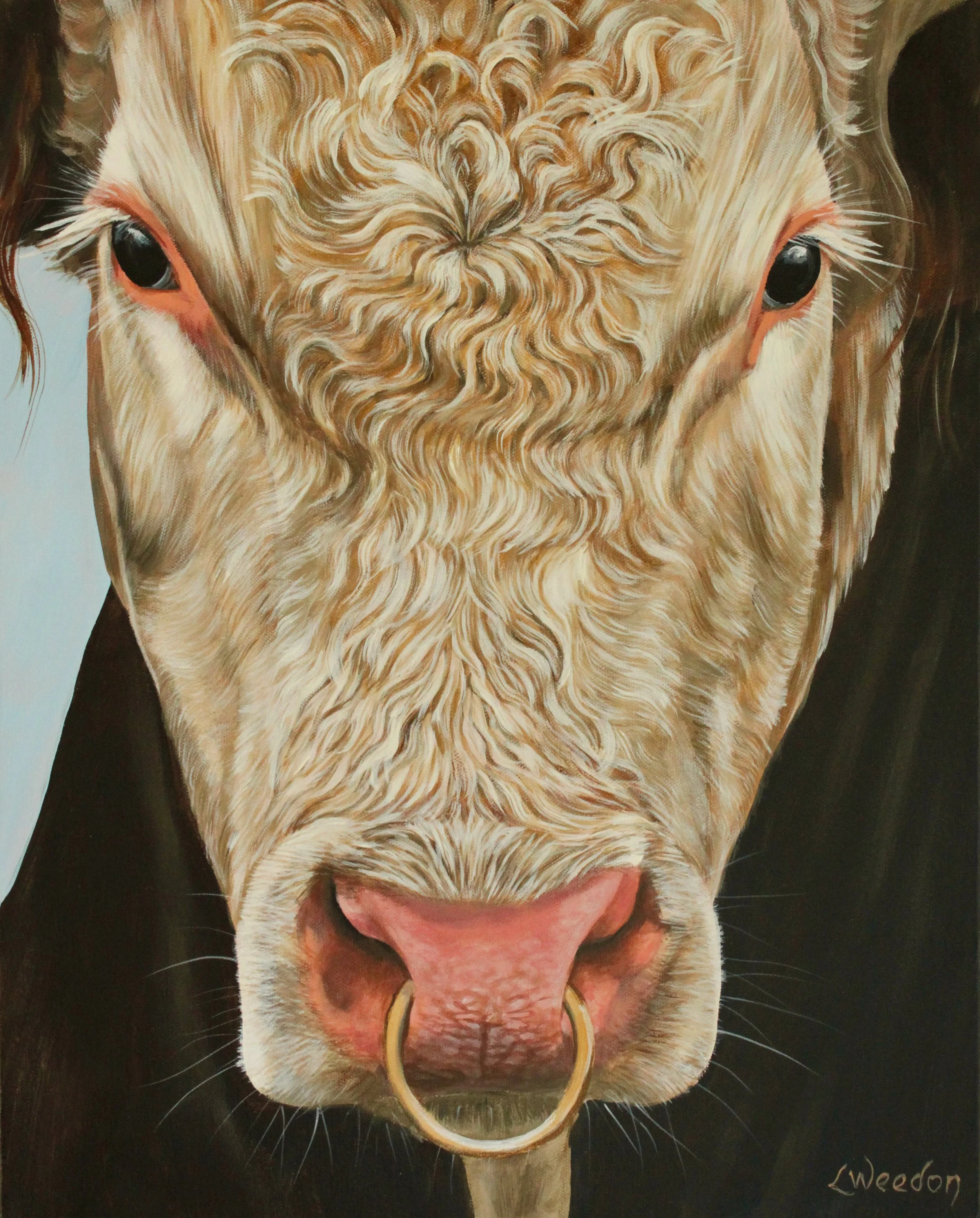 Close-up of a painting of a Cows face with curly hair