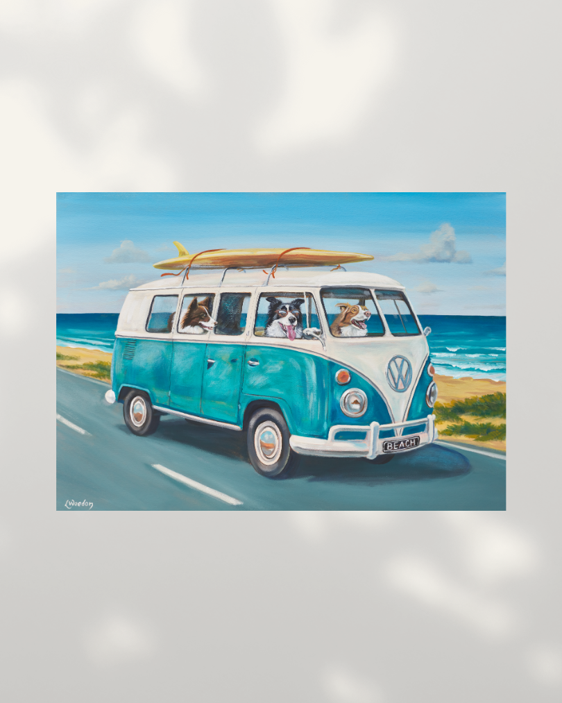 Collies in Kombi