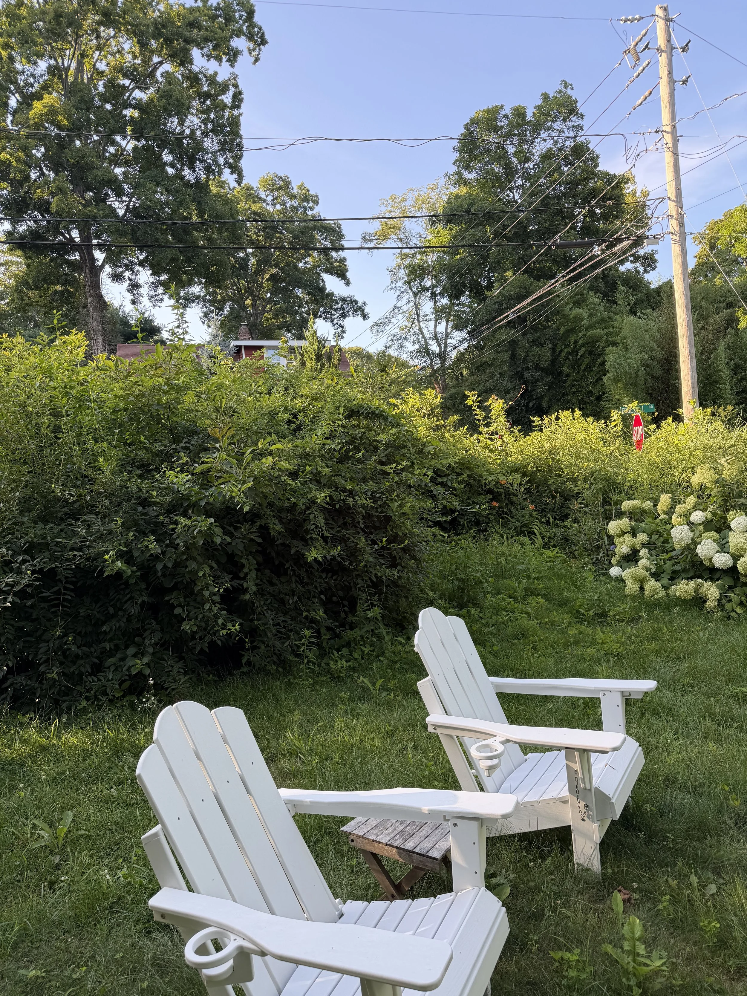 IMG_0446.jpeg