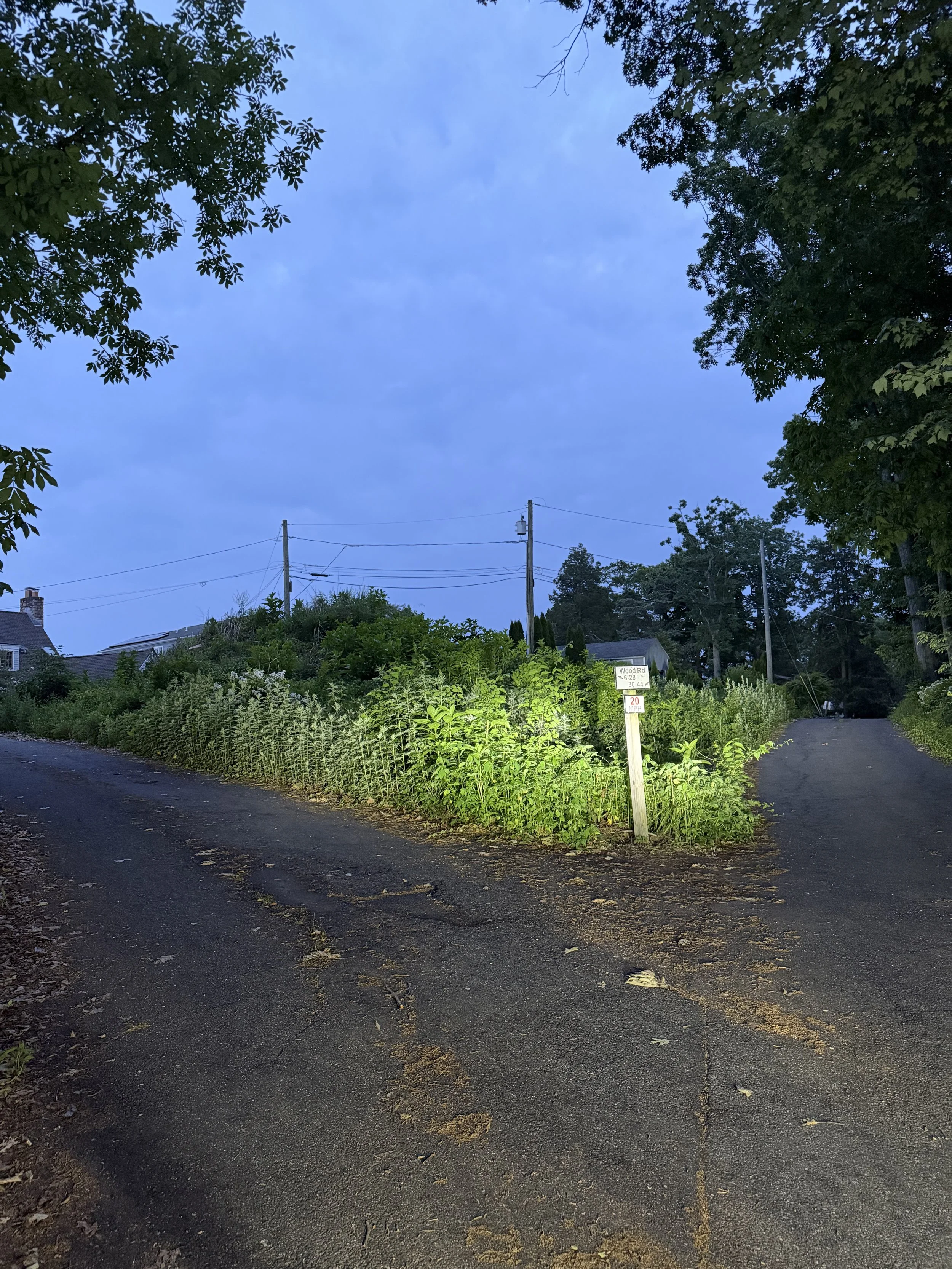 IMG_9956.jpeg