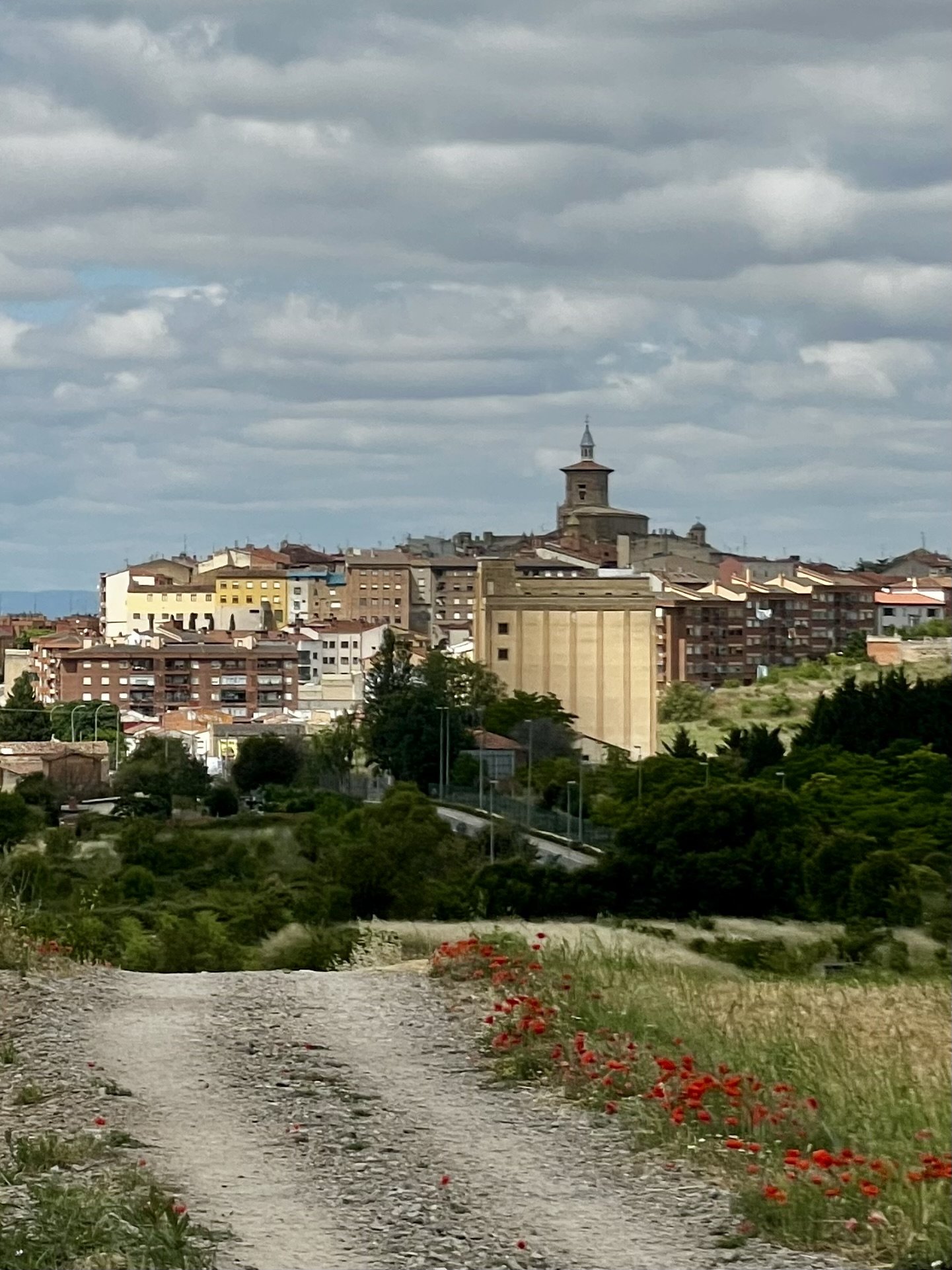 A dirt path with red flowers on the side leads towards a hilly town with buildings and a church with a tall spire, under a cloudy sky.
