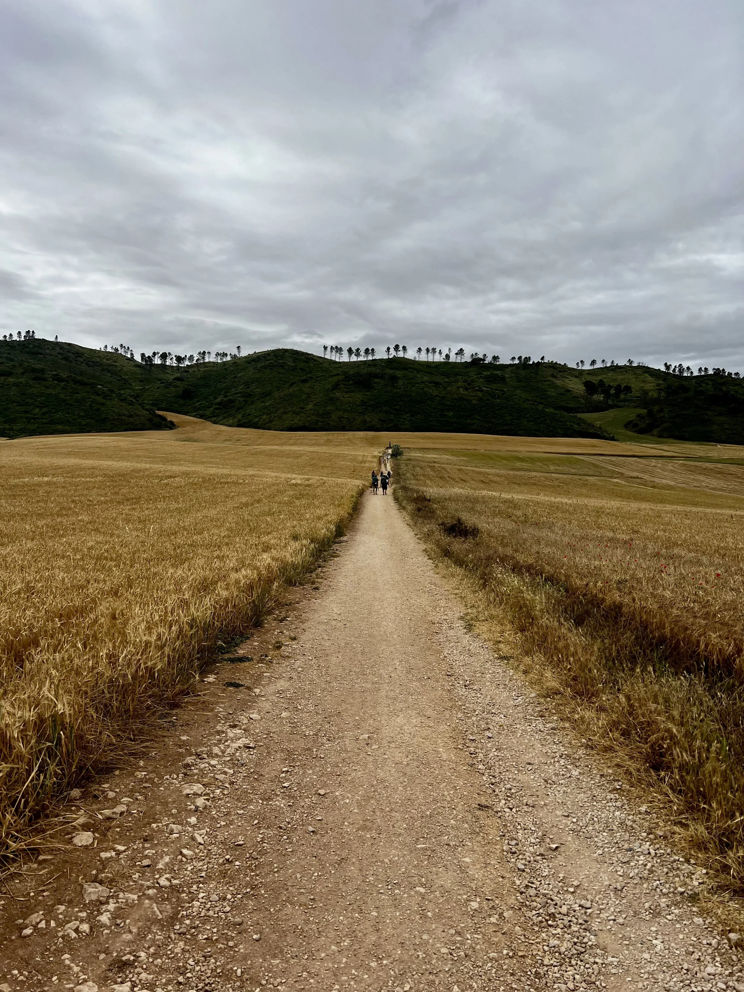 A dirt path running through a field of golden grass, leading towards green hills with scattered trees under a cloudy sky.