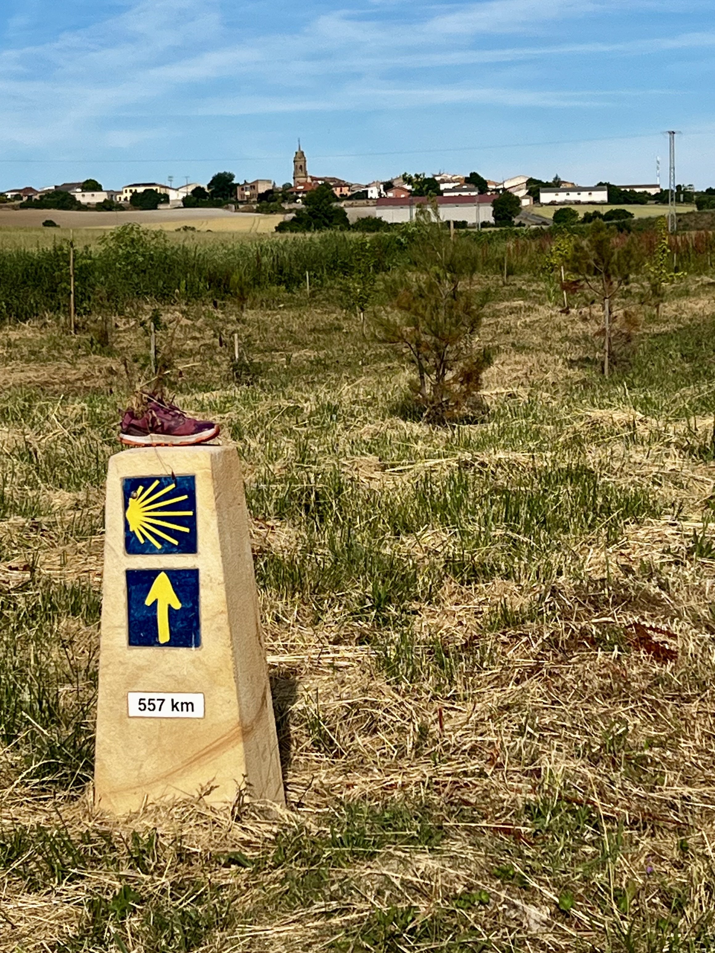 A milestone marker on a grassy field indicating a distance of 557 kilometers. In the background, a rural village with houses and a church steeple, and farmland with some trees. The sky is mostly cloudy.