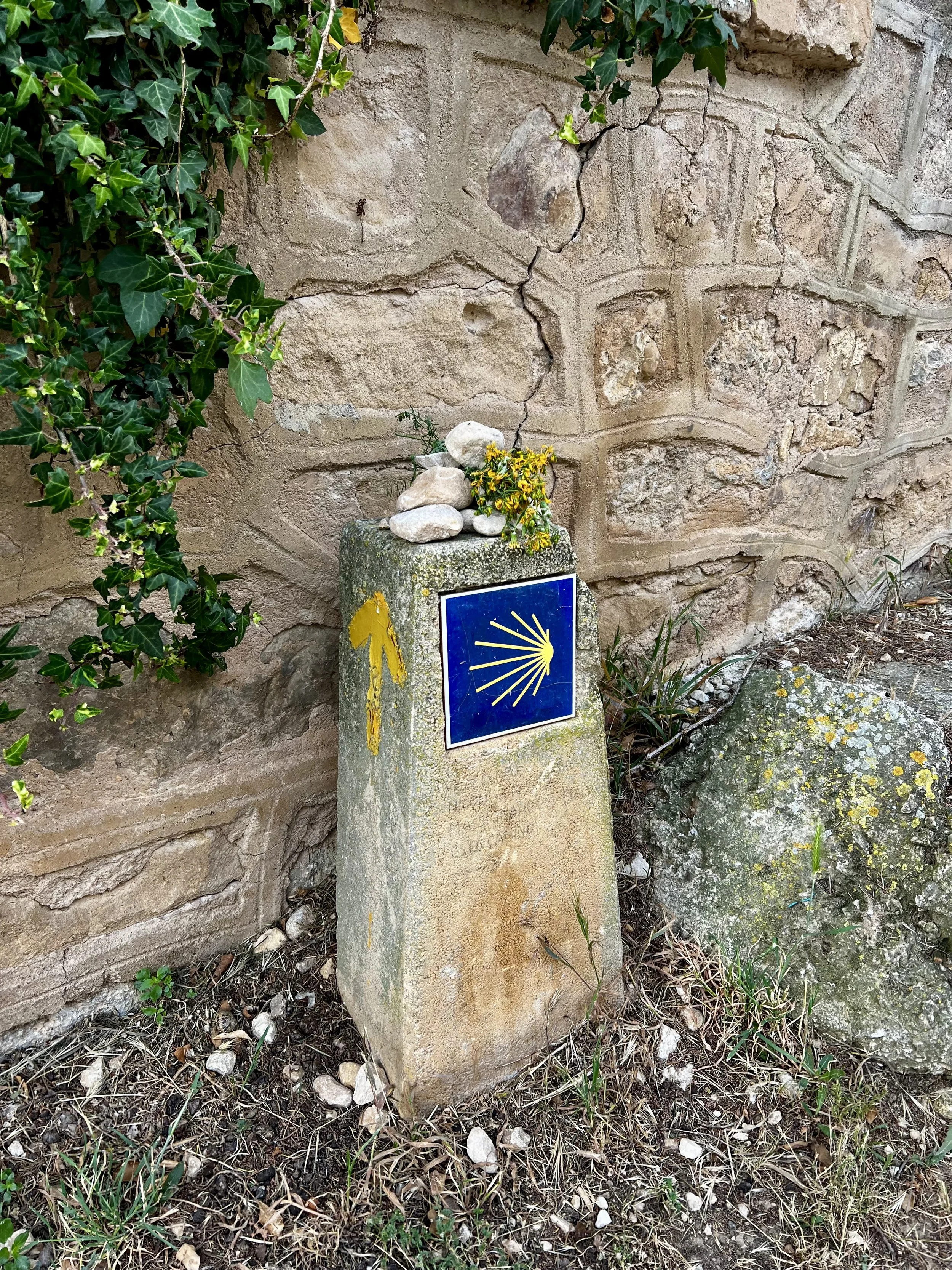 A stone milestone with a blue sign featuring a yellow scallop shell symbol, placed against a textured stone wall, with some greenery and yellow flowers growing on and around it.