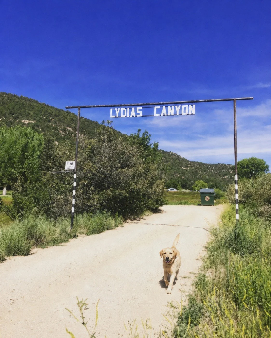edited guest 2 - Lydia's Canyon sign w Molly and green dumpster.jpg