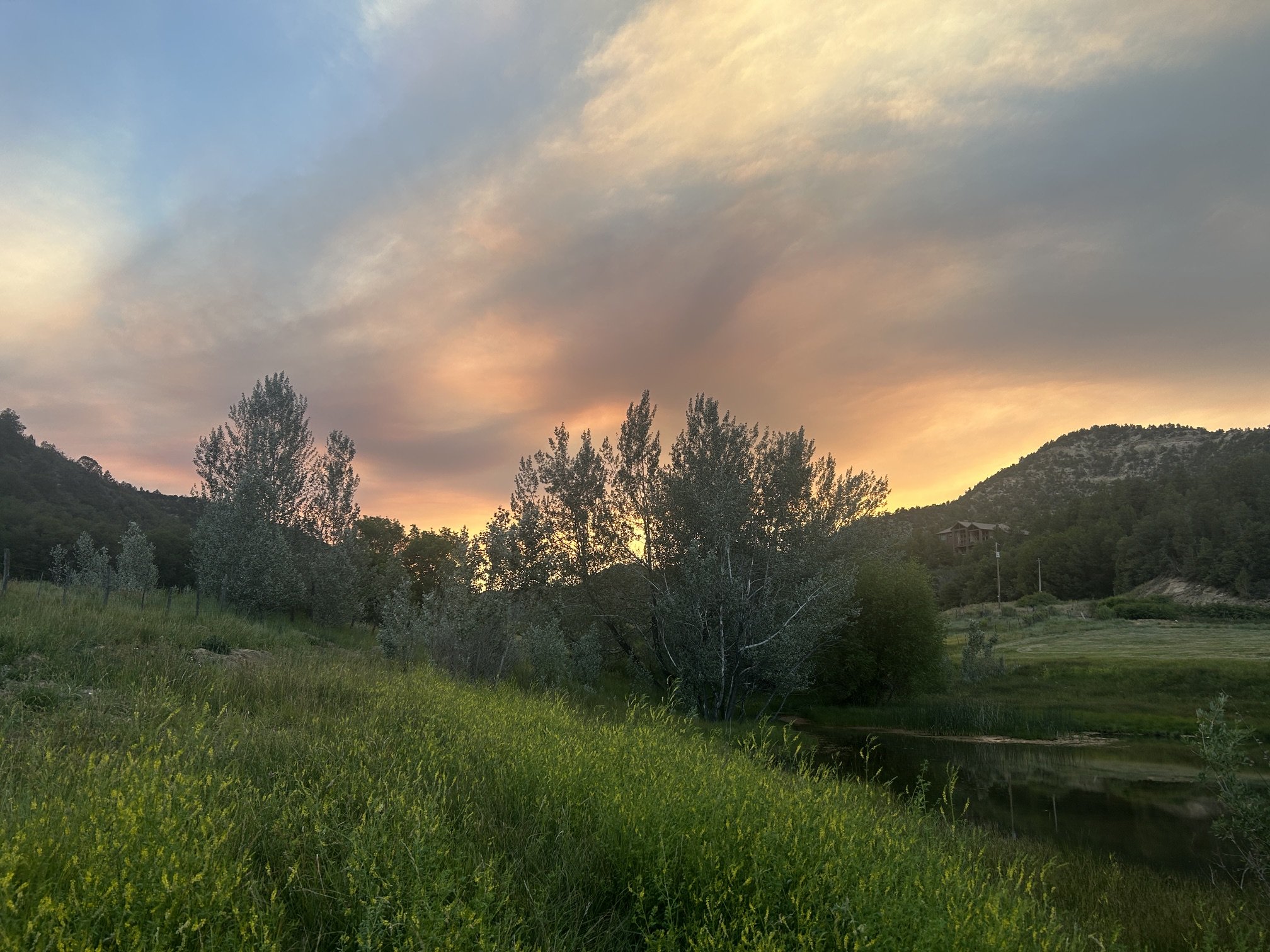 2026 ZFR Campground - looking west to Maple Falls at ZFR.JPG