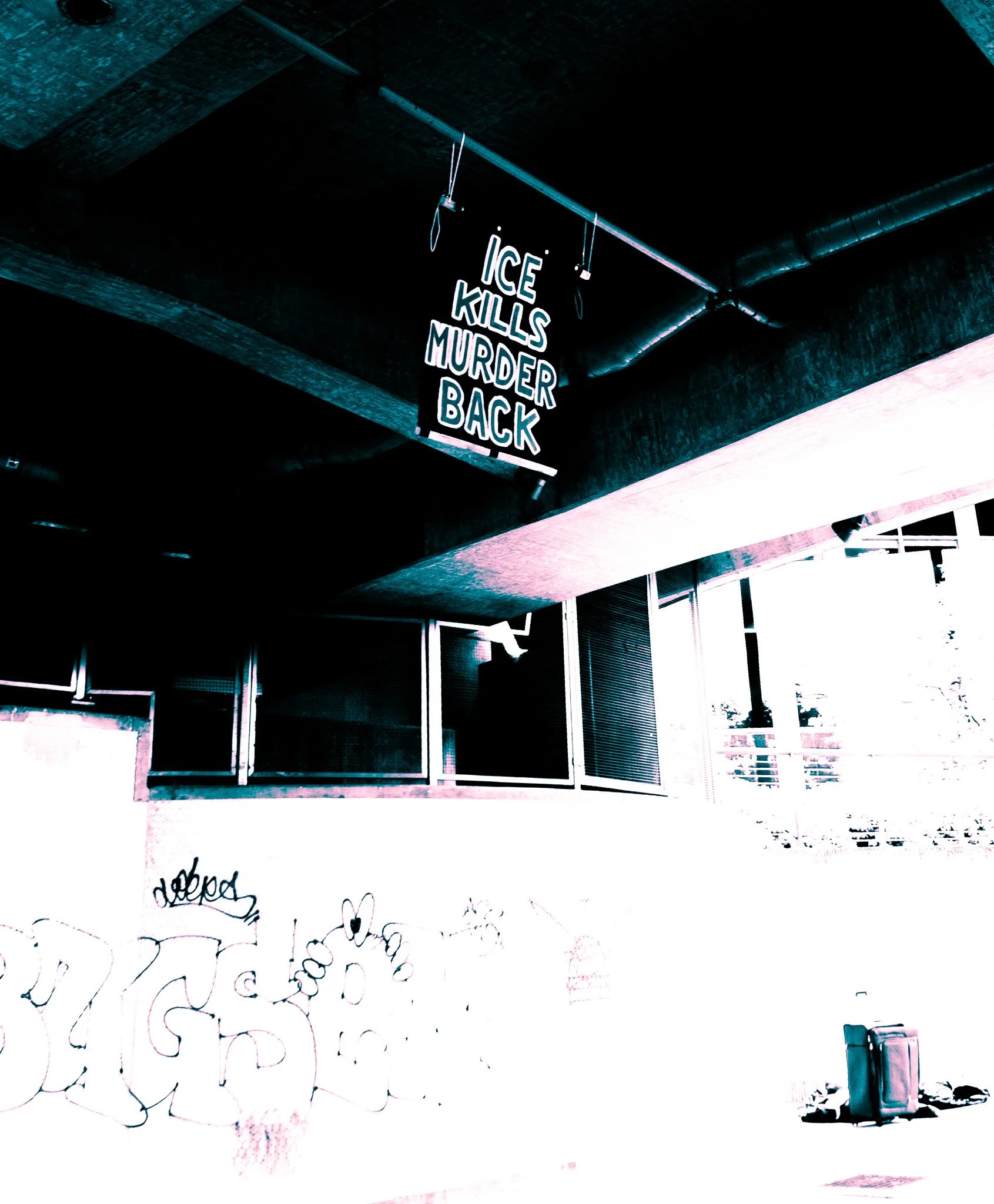 DSC01963.jpg