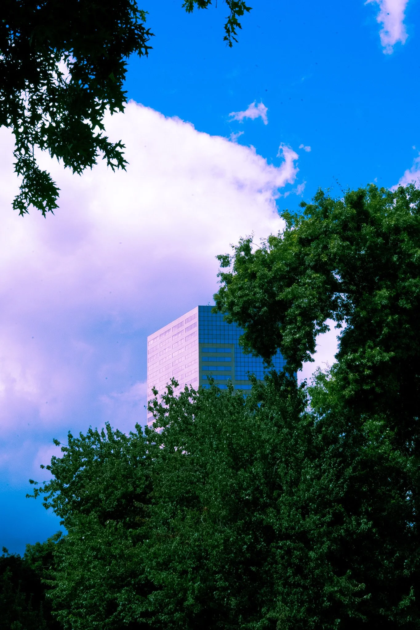 DSC02225.jpg