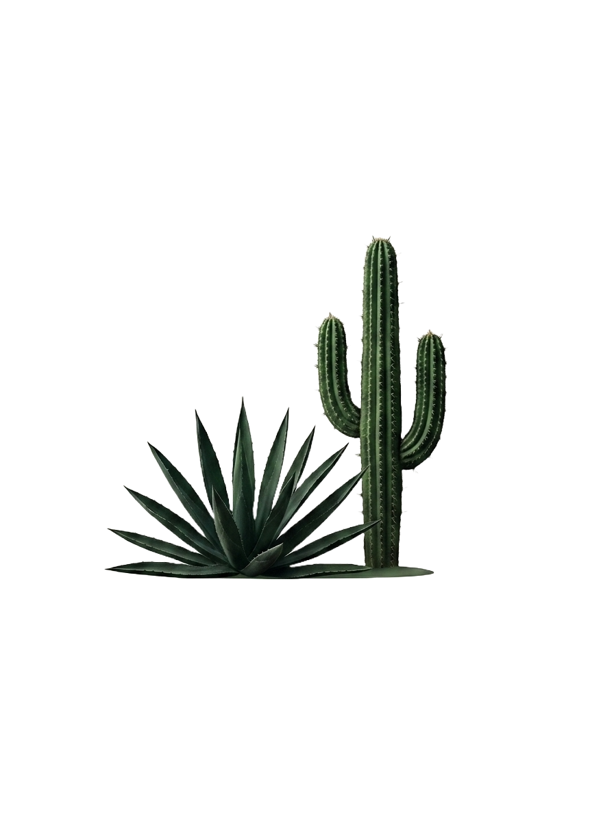A desert scene with a large saguaro cactus and an agave plant