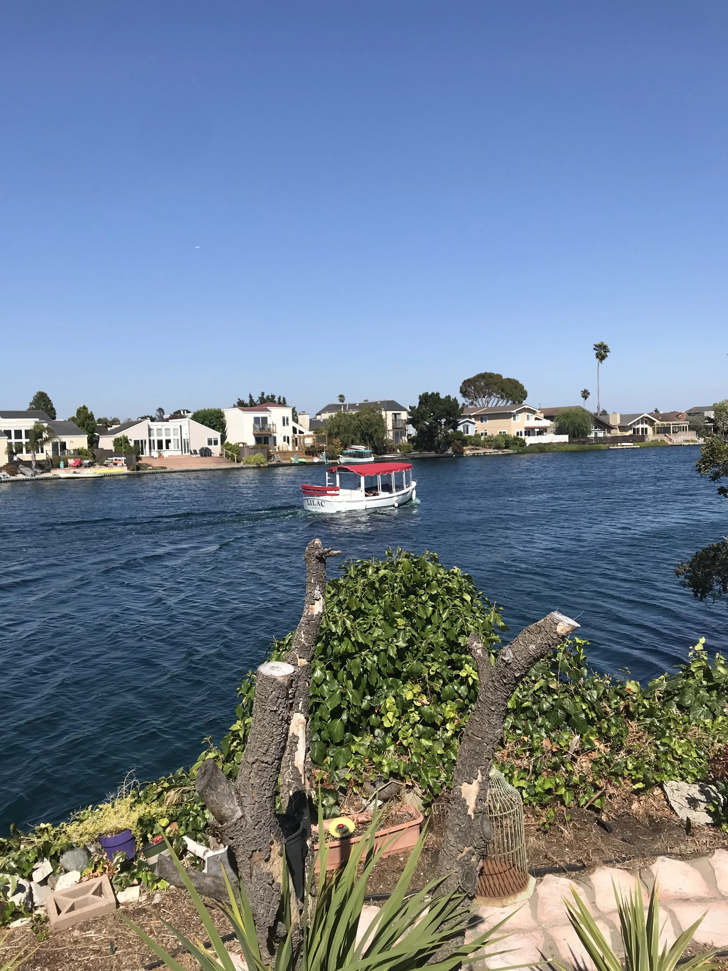 IMG_4315.jpeg