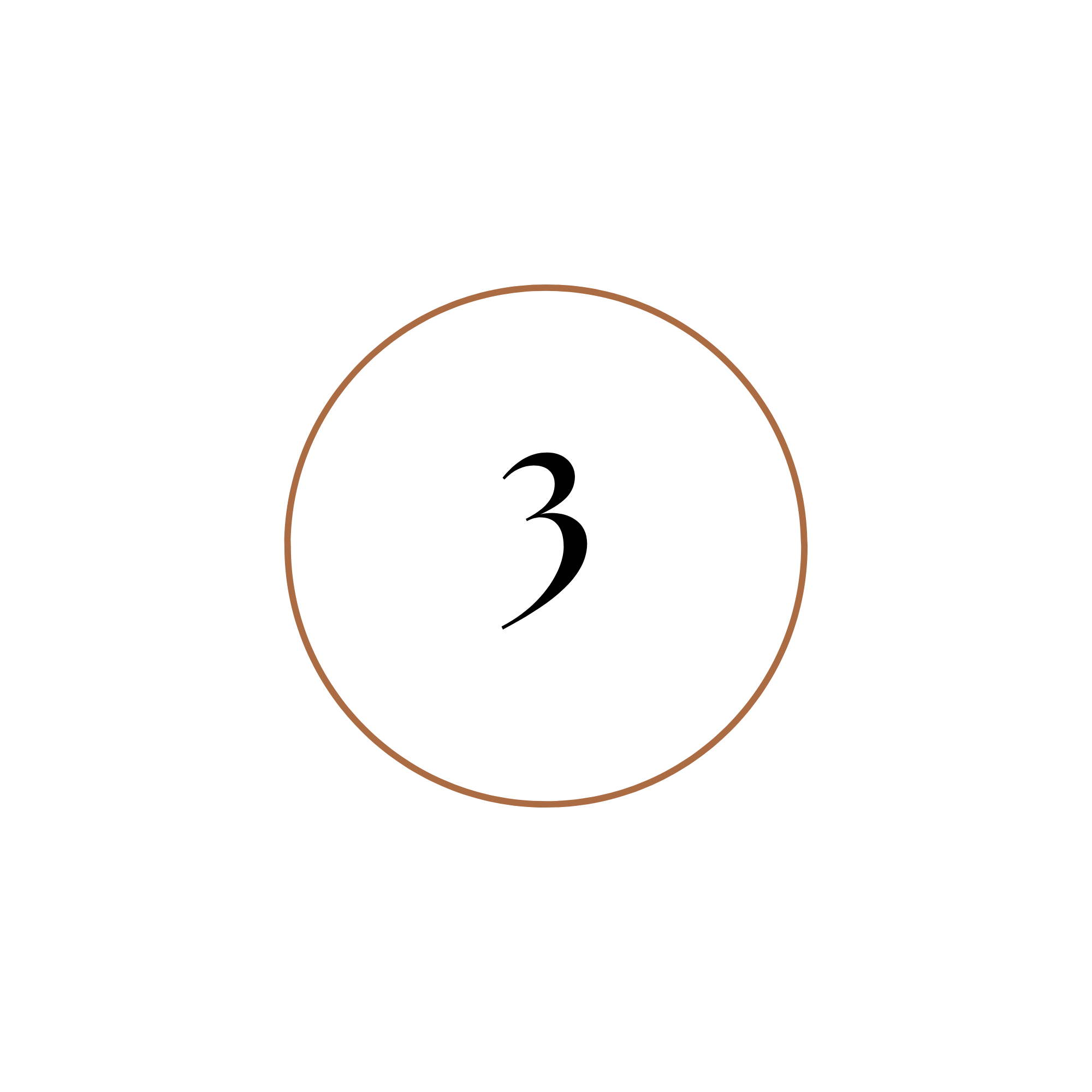 A white circular badge with the number 3 in the center, surrounded by black space and two curved lines in brown and white below the badge.