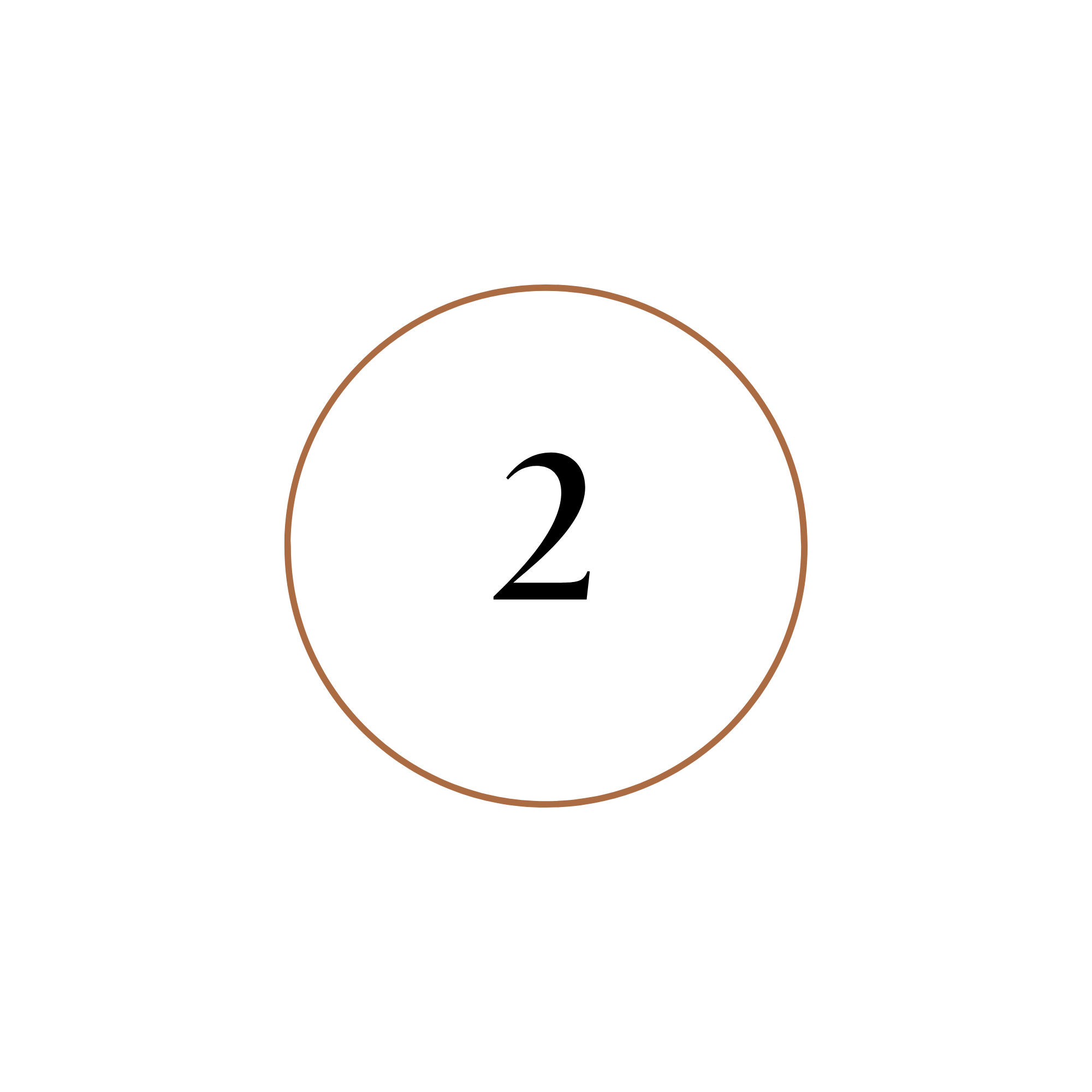 A circle with the number 2, surrounded by black space and a thin brown ring.