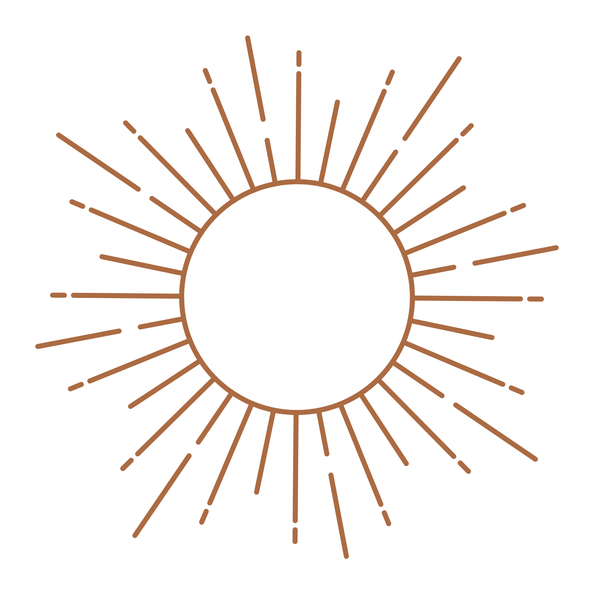 Stylized sunburst graphic with brown lines radiating from the center on a black background.