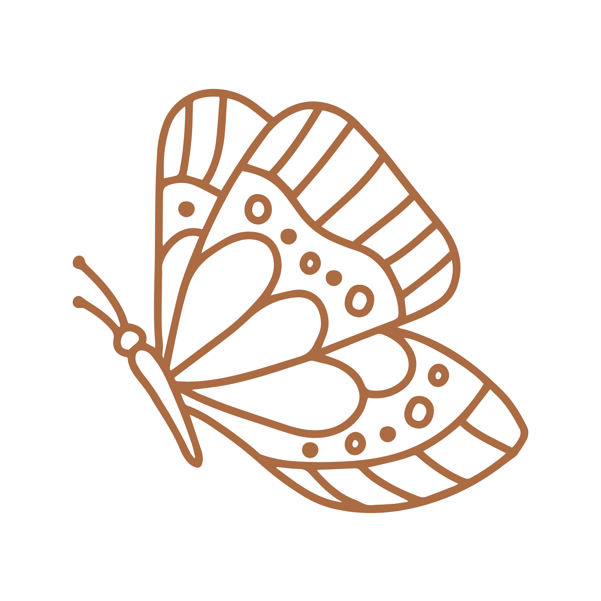butterfly