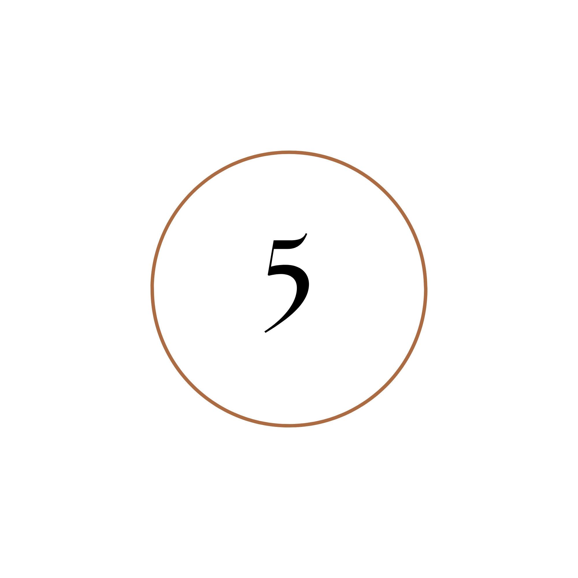 Close-up of a game score icon with a black background, showing the number five inside a white circle with a brown border.