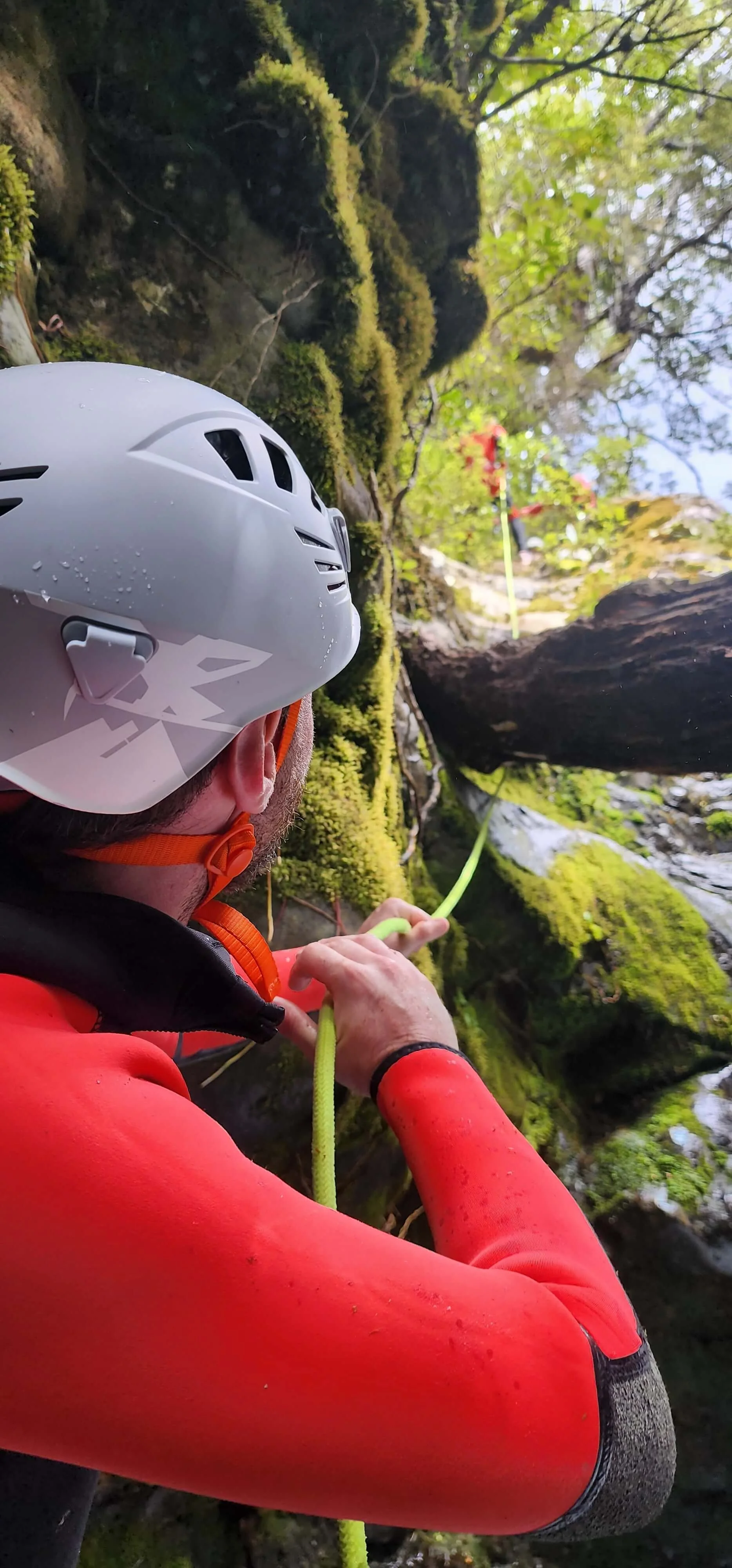 A person wearing a helmet and red waterproof jacket, rappelling down a moss-covered rock face in a lush green forest with trees and foliage.