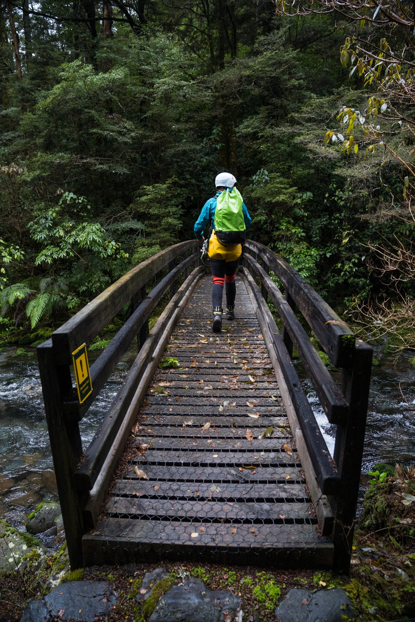 Person crossing a narrow wooden footbridge over a stream in a dense forest, wearing a helmet, blue jacket, yellow shorts, and carrying a green backpack.