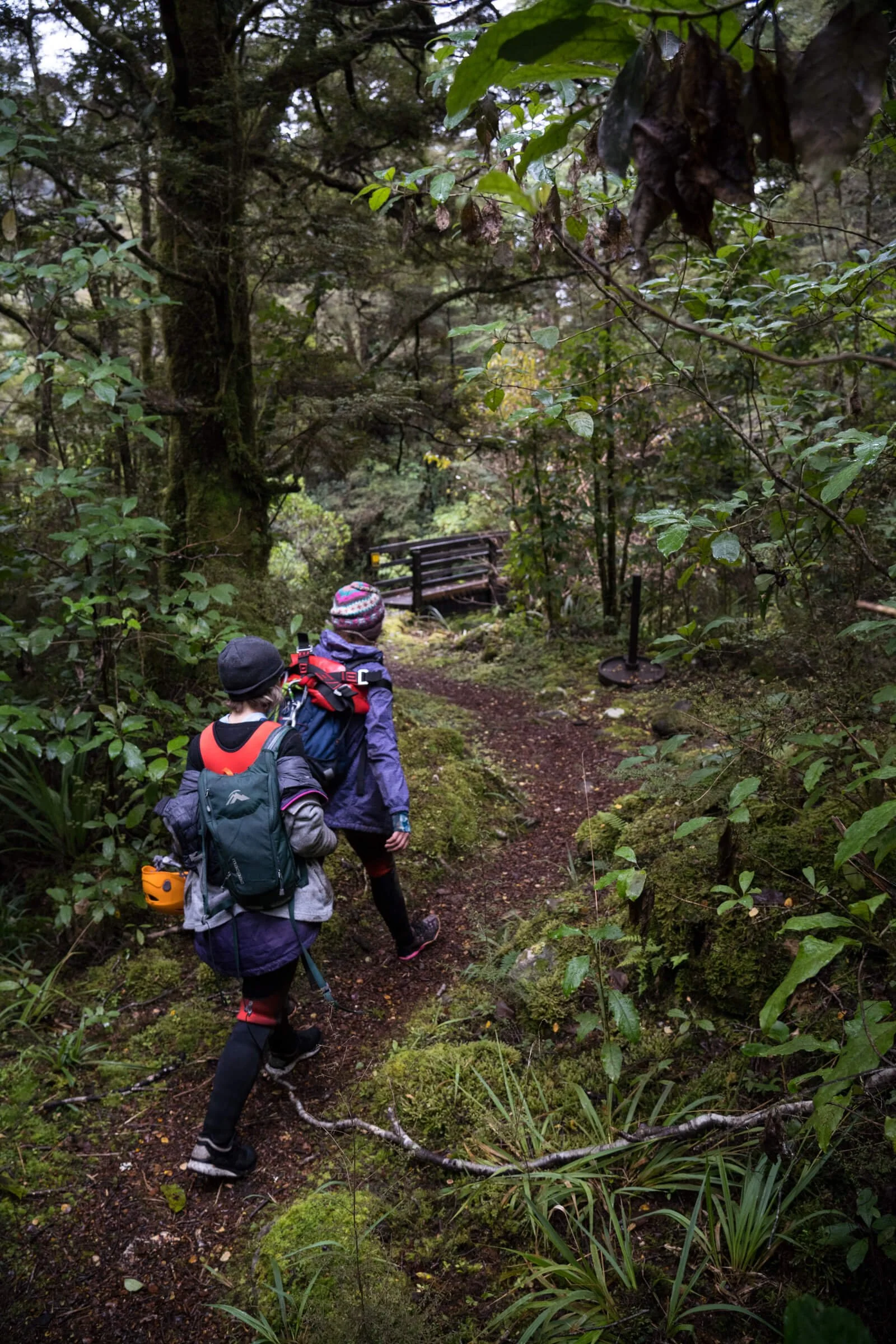 Two children hiking through a dense, green forest trail lined with moss and plants, wearing backpacks and outdoor gear.