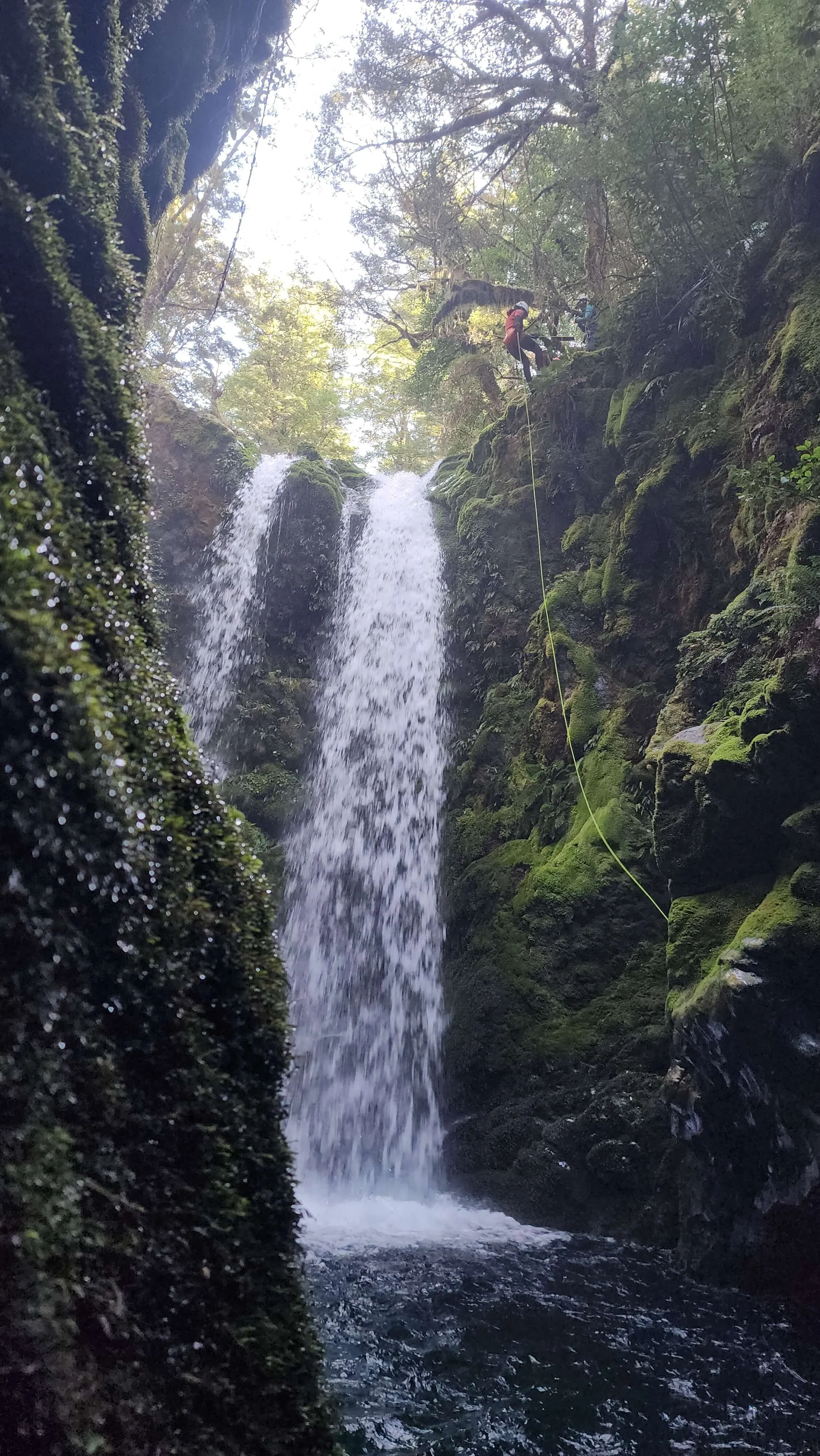 Person rappelling down a waterfall in a lush, green forest with moss-covered rocks and trees.