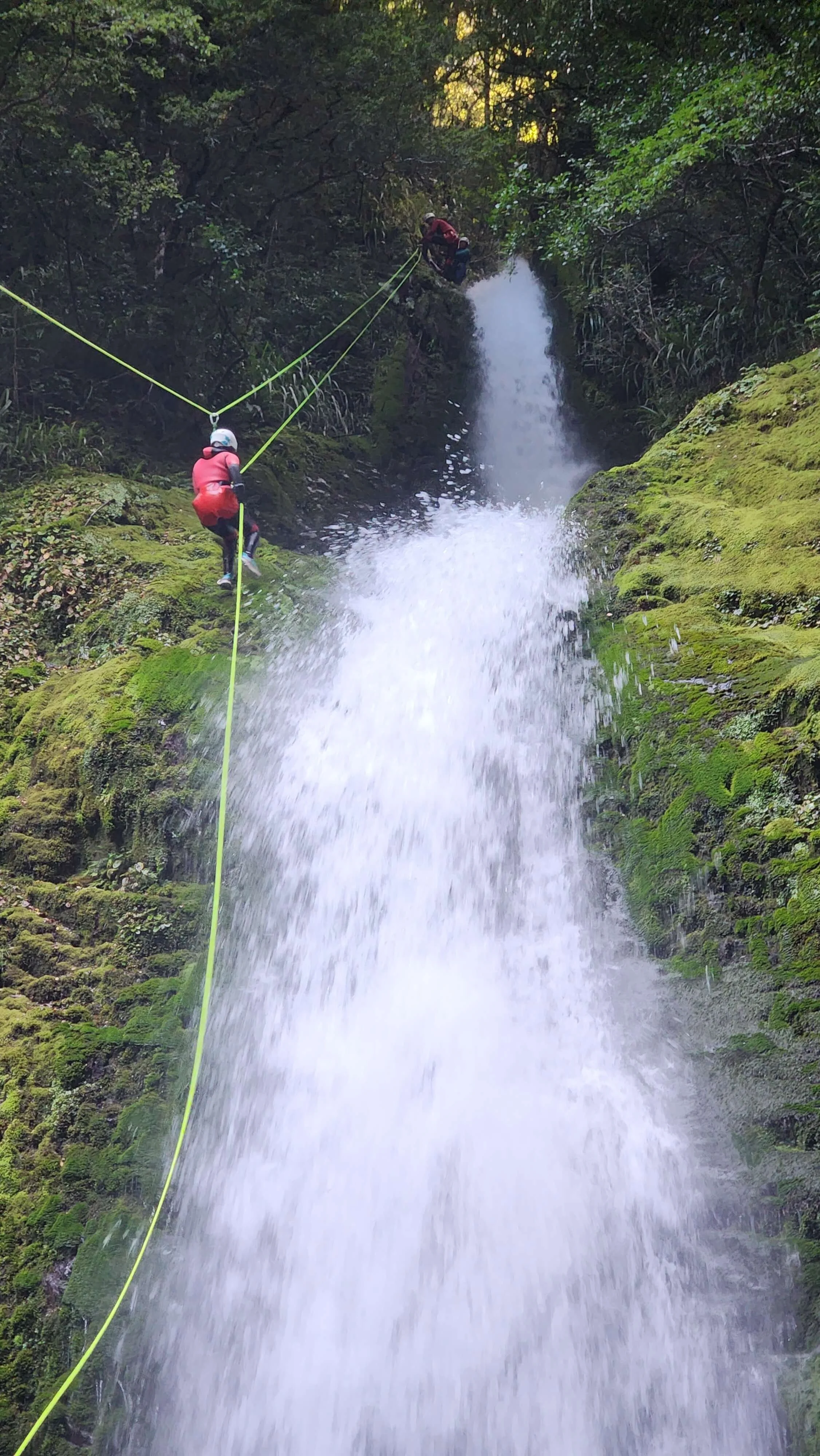 Two people engaged in canyoning descend a mossy, rocky waterfall with the aid of ropes. They are wearing helmets and wetsuits, surrounded by dense green forest.