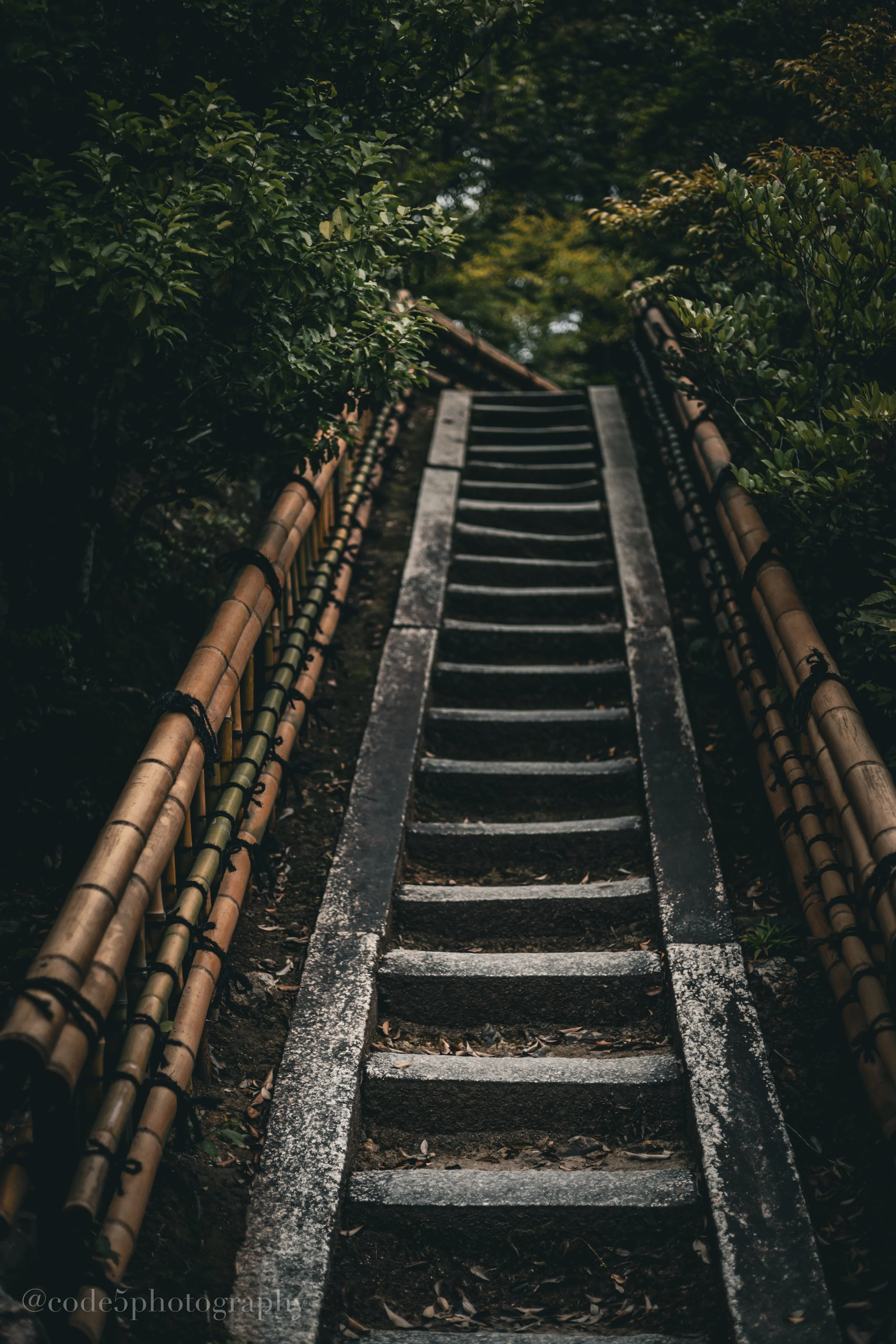 A narrow outdoor staircase made of wood and concrete, flanked by bamboo fencing, surrounded by lush green foliage.
