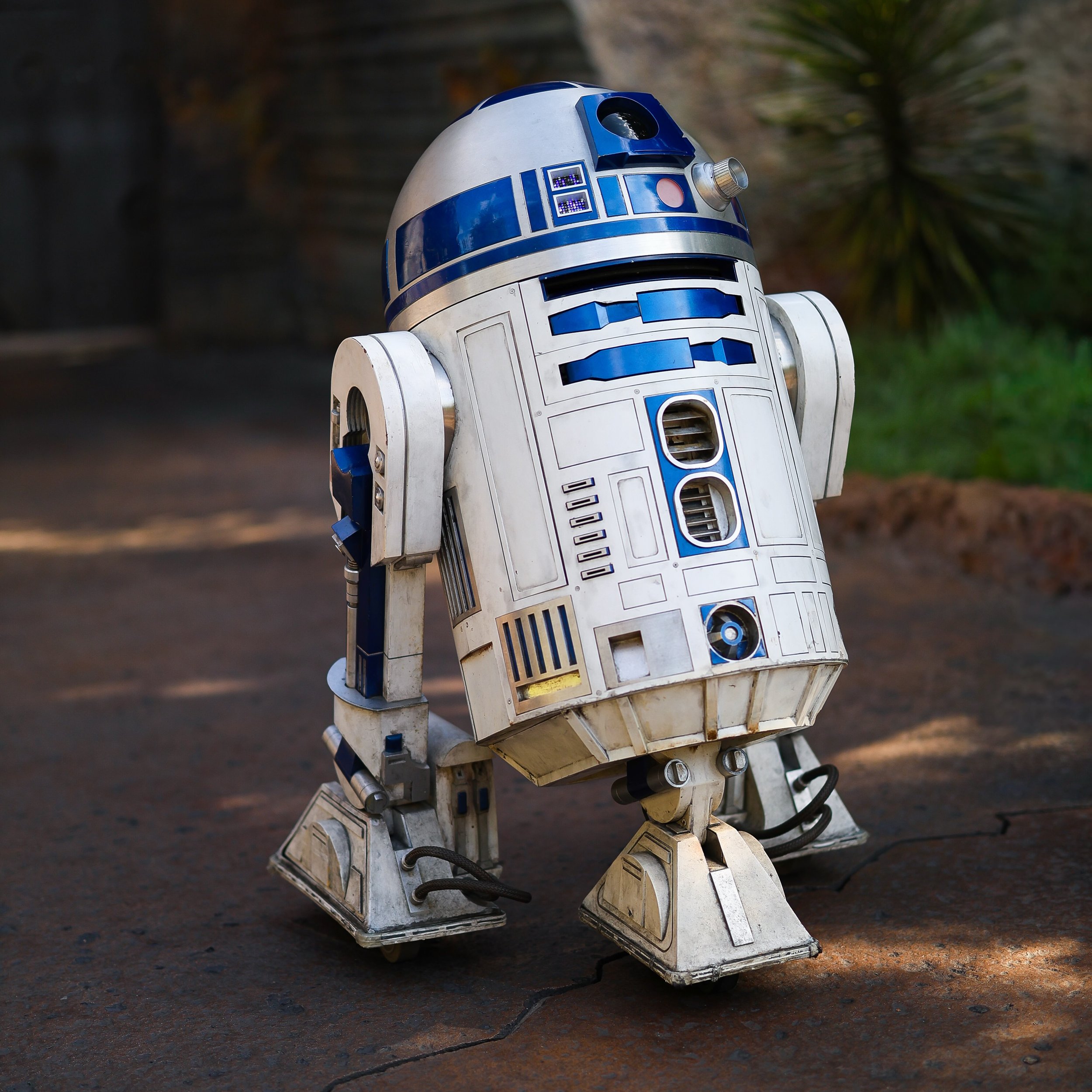The droid you&rsquo;re looking for. 🤖✨

#R2D2 #StarWarsPhotography #DroidPhotography #ToyPhotography #Photography PhotoOfTheDay MayTheForceBeWithYou