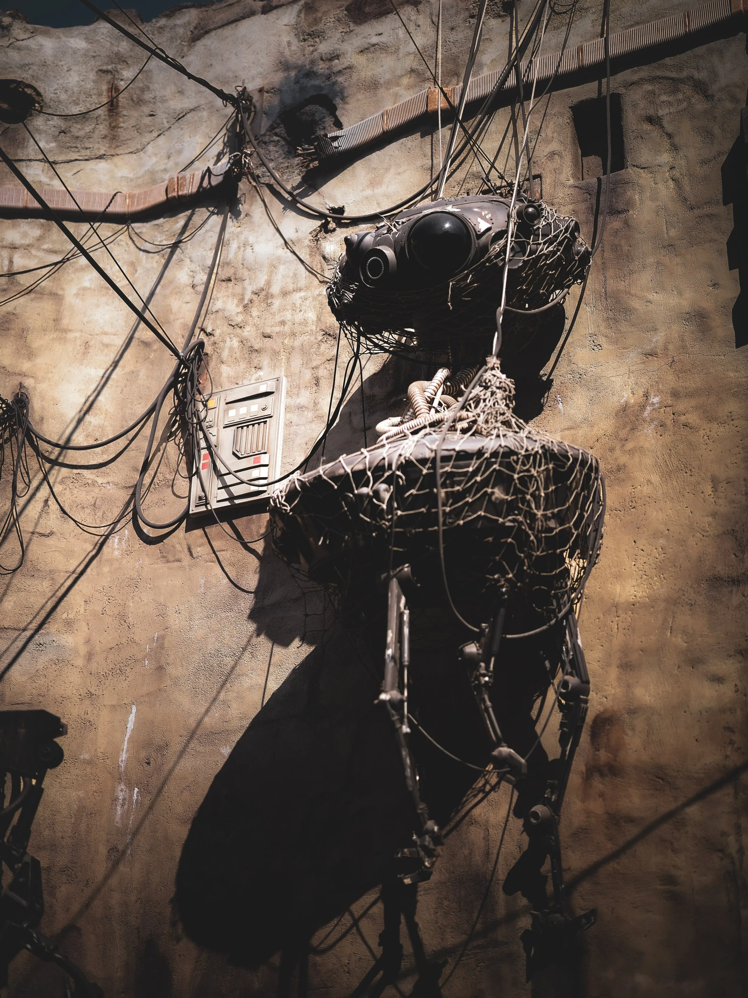 Still waiting for the signal.

A forgotten probe droid, tangled in wires and lurking in the shadows.

#ProbeDroid #StarWarsPhotography #CinematicPhotography #VisualStorytelling #MoodyTones