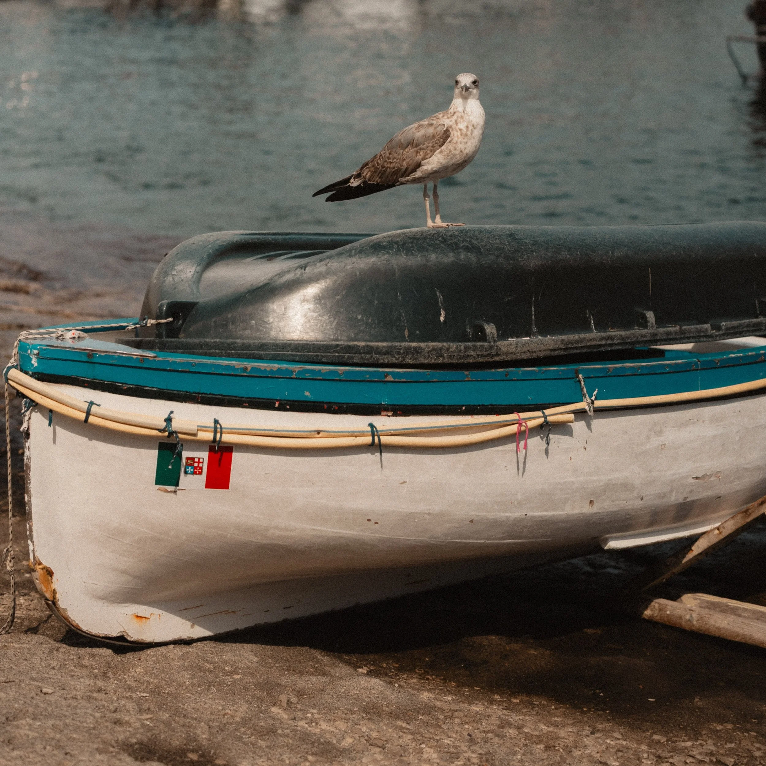 Postcards from Capri. 🇮🇹

📍 Capri, Italy

#Capri #CapriItaly #Italia #ItalyPhotography #TravelPhotography StreetPhotography FineArtPhotography Mediterranean ItalianSummer ExploreItaly TravelPhotographer Code5Photography