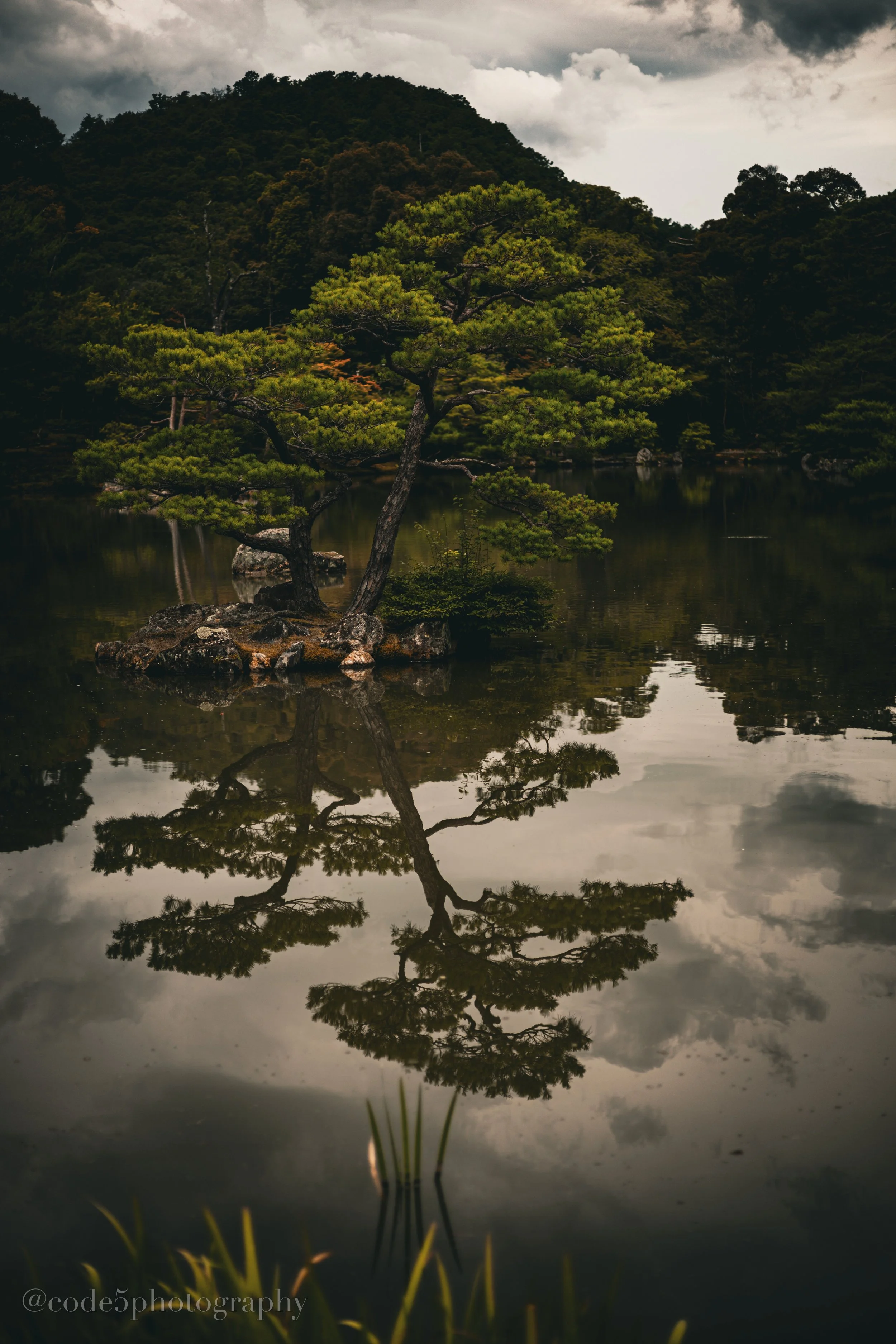 A solitary green pine tree growing on a rocky island in a calm lake, with its reflection visible in the water. Dark, cloudy skies and forested hills are in the background.