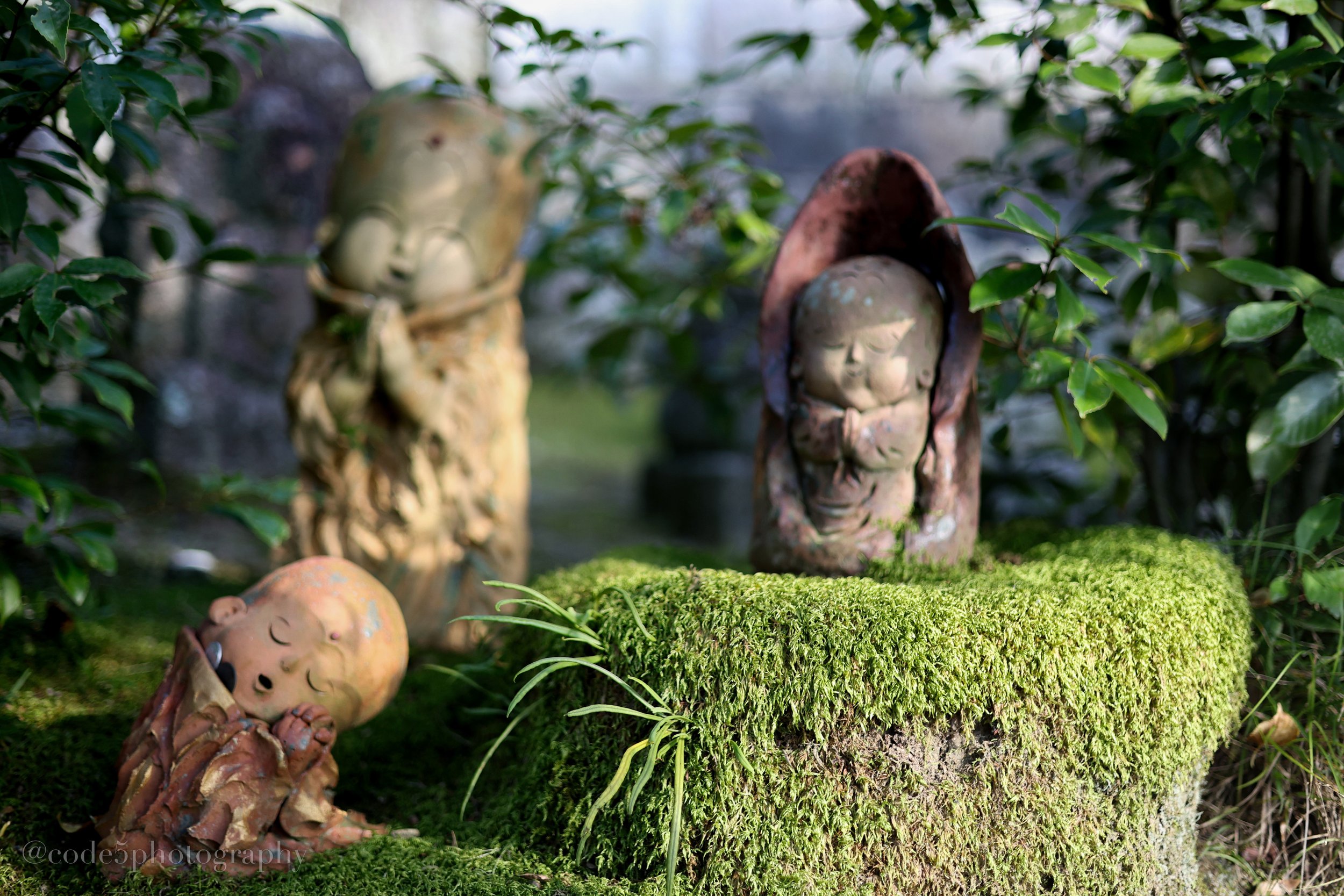 Three small stone Buddha statues surrounded by green leaves and moss, with one statue partially hidden behind bush, on a mossy stone surface.