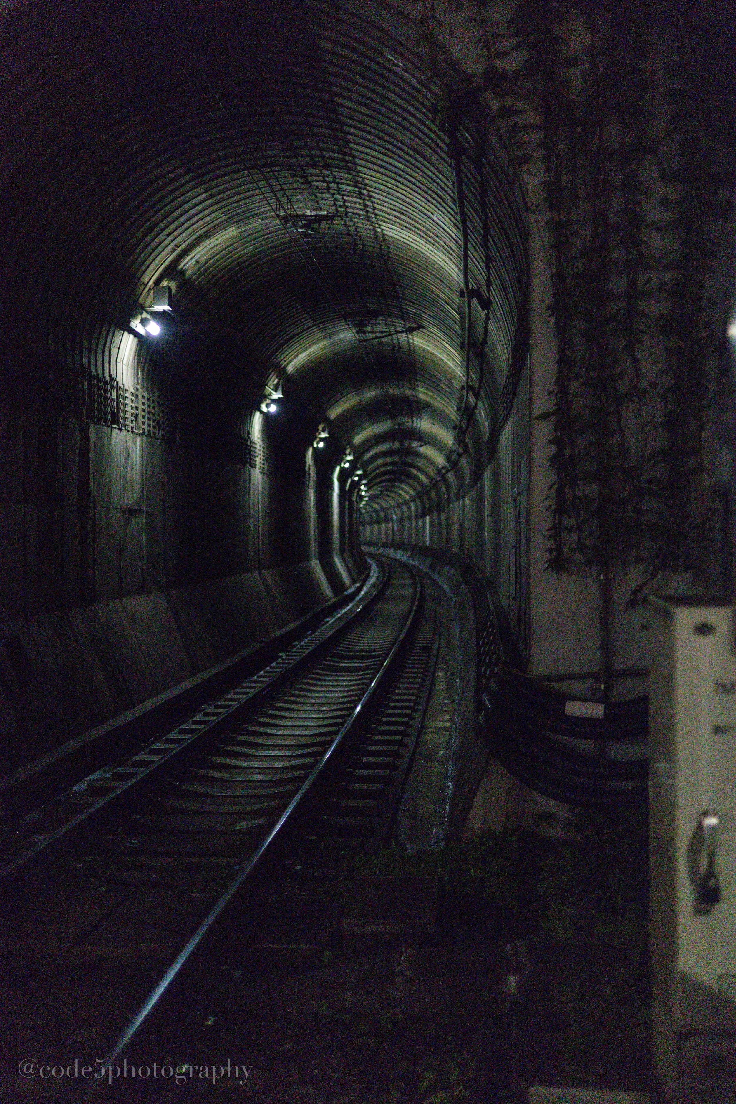 Dark image of a railway tunnel with several lights illuminating the path and tracks. The tunnel walls have metal and concrete textures, with some plants growing on the right side.