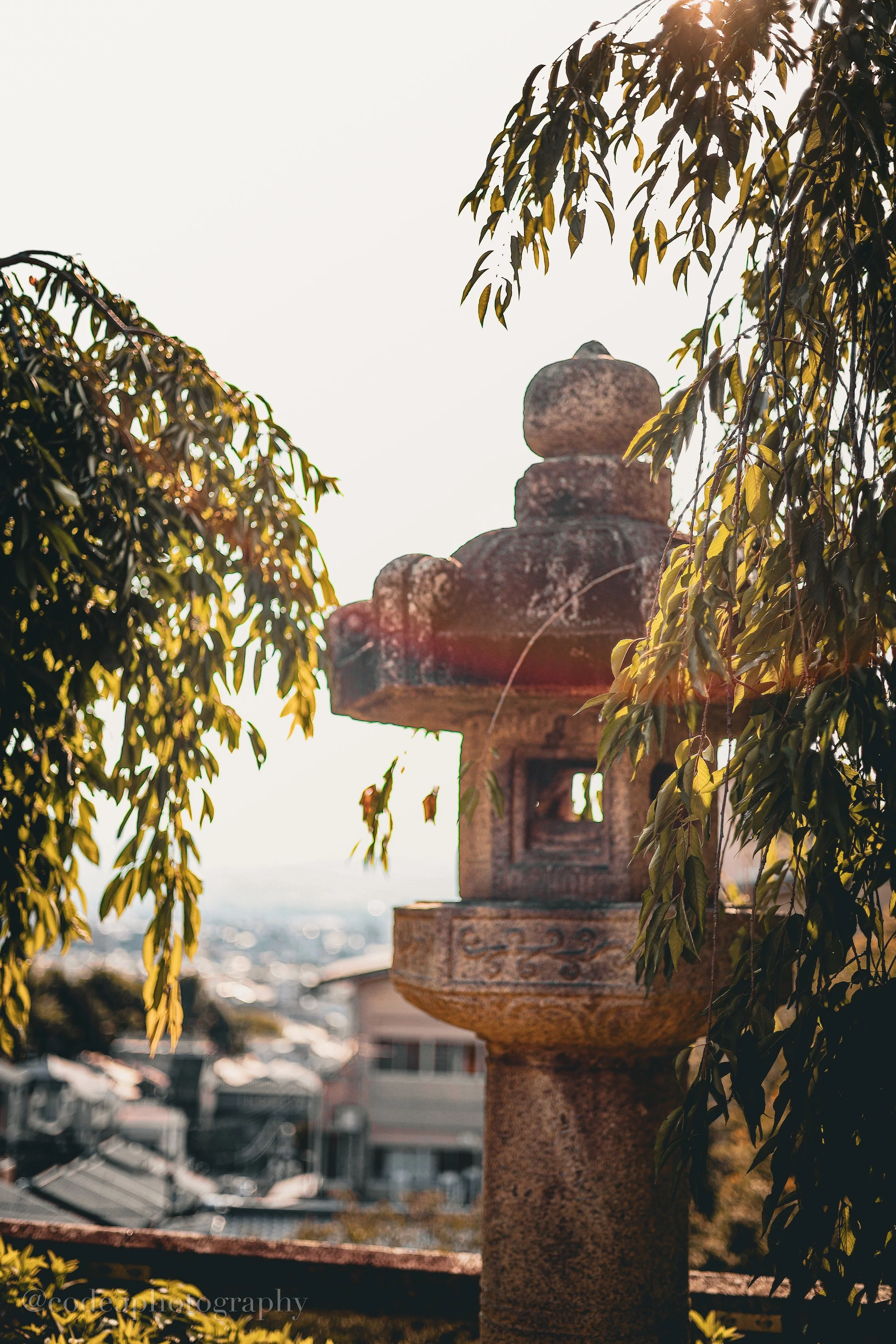 A stone urn with decorative carvings, partially obscured by foliage, is situated on a terrace or balcony against a blurred background of buildings and a cityscape in the distance, with sunlight filtering through the leaves.