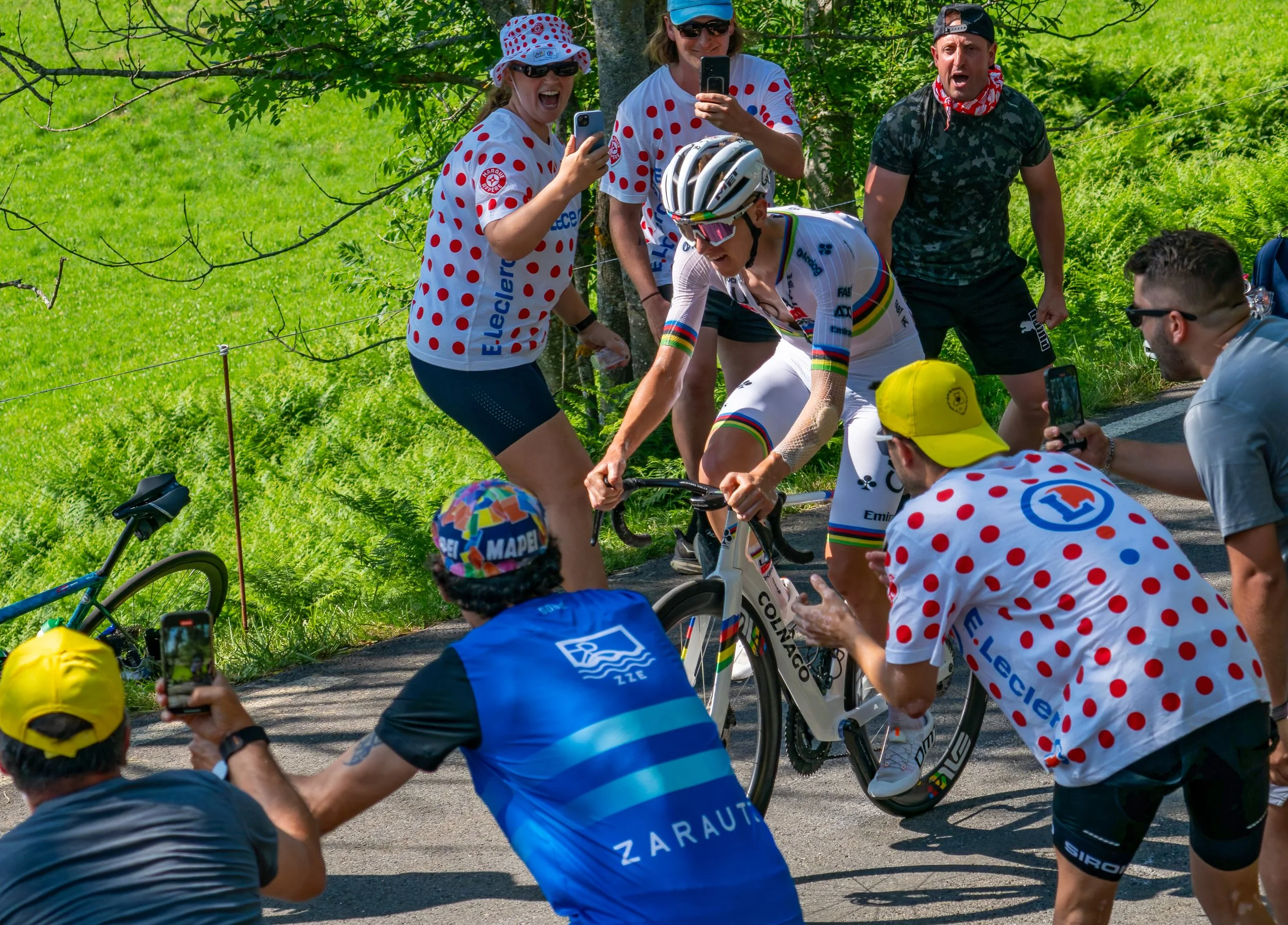 A6709107-DxO_DeepPRIME 3.jpg