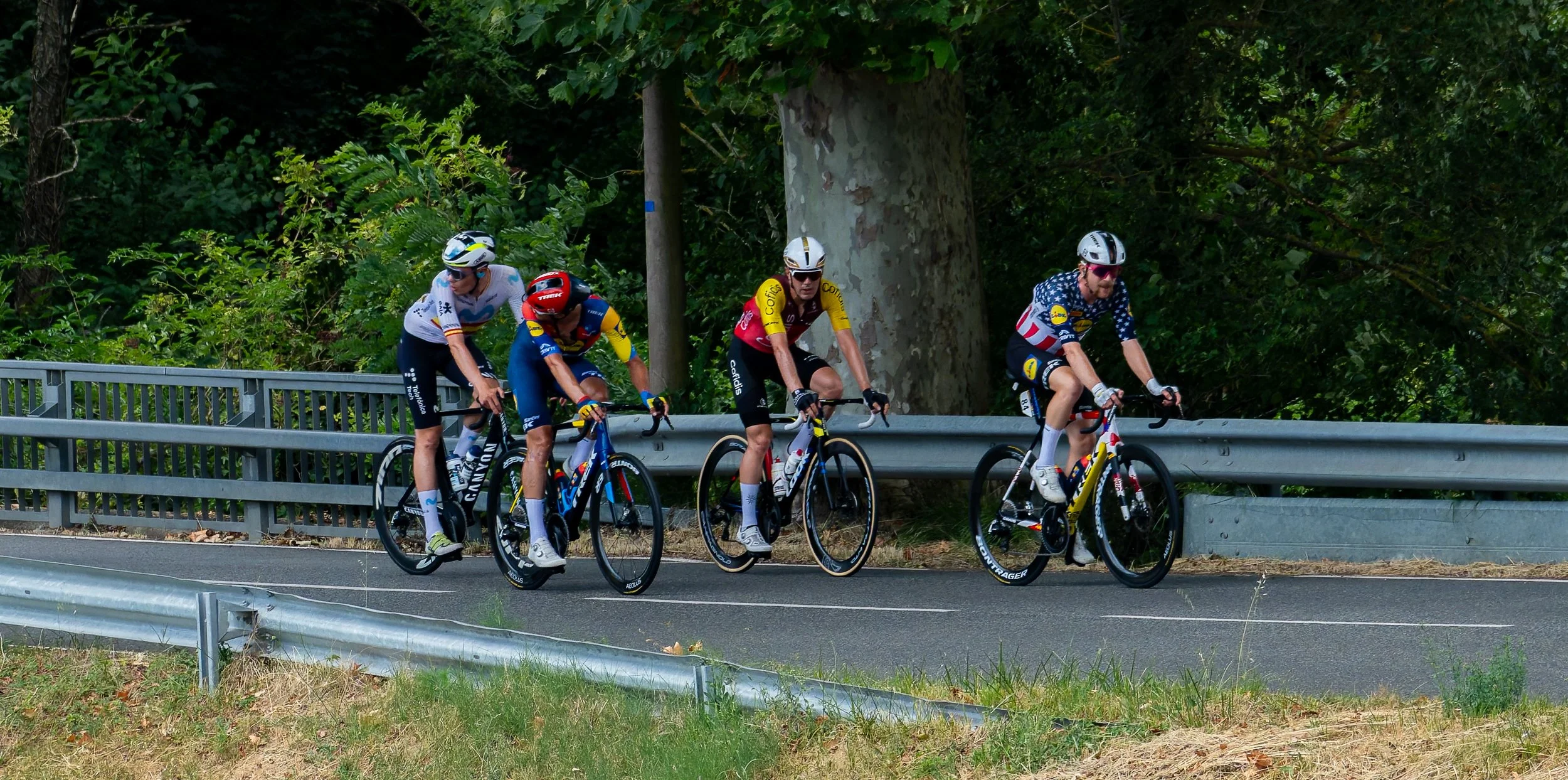 A6701032-DxO_DeepPRIME 3.jpg