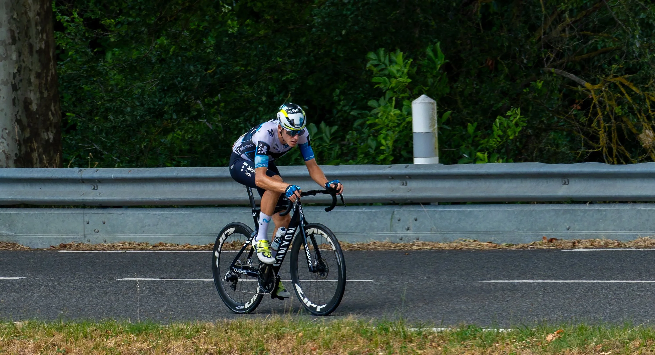 A6701132-DxO_DeepPRIME 3.jpg
