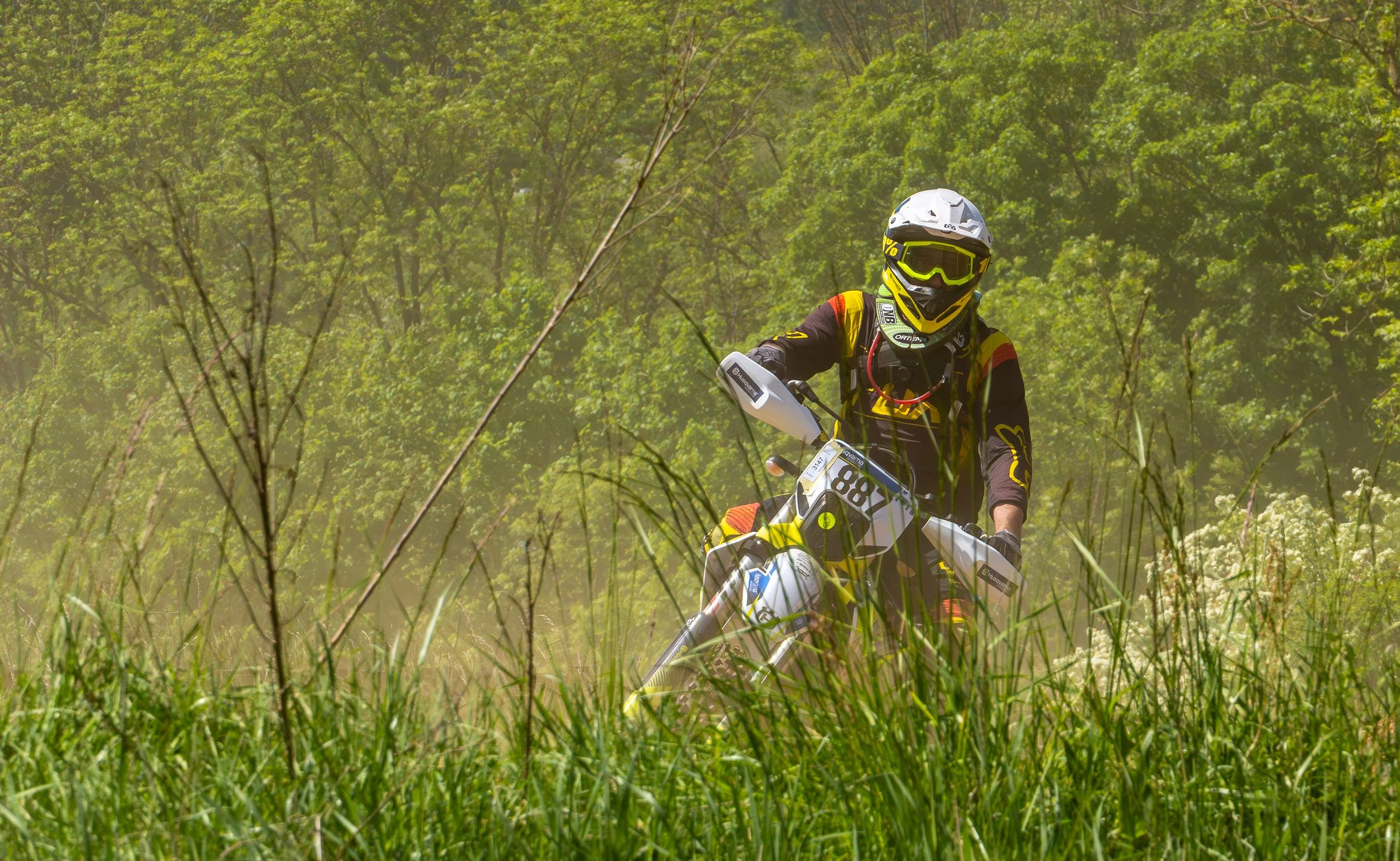A6708720-Enhanced-NR.jpg