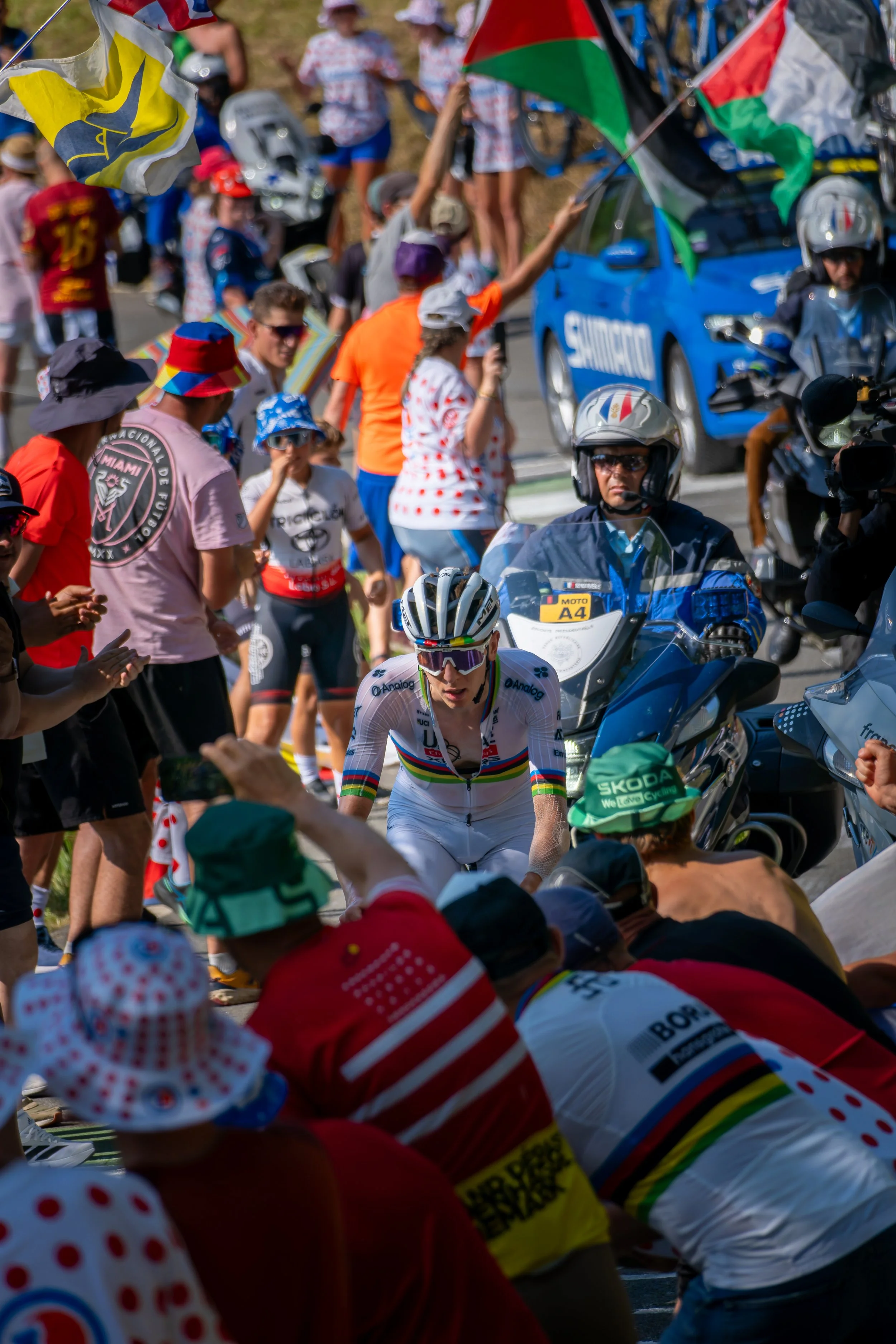 A6709104-DxO_DeepPRIME 3.jpg
