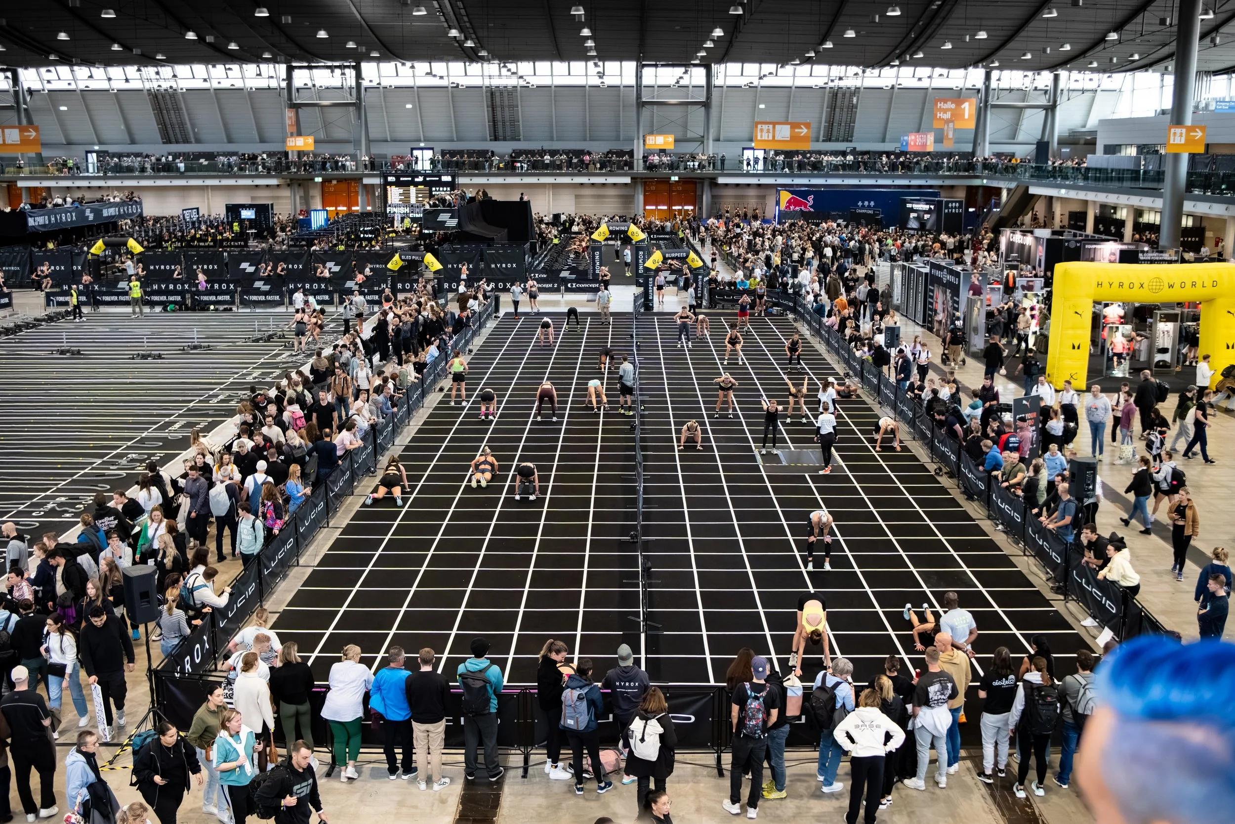 20251102-A6705035 - Kopie.jpg