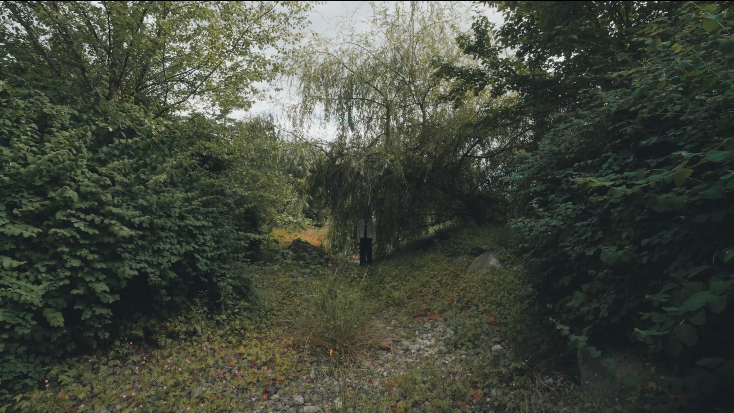 Petrichor